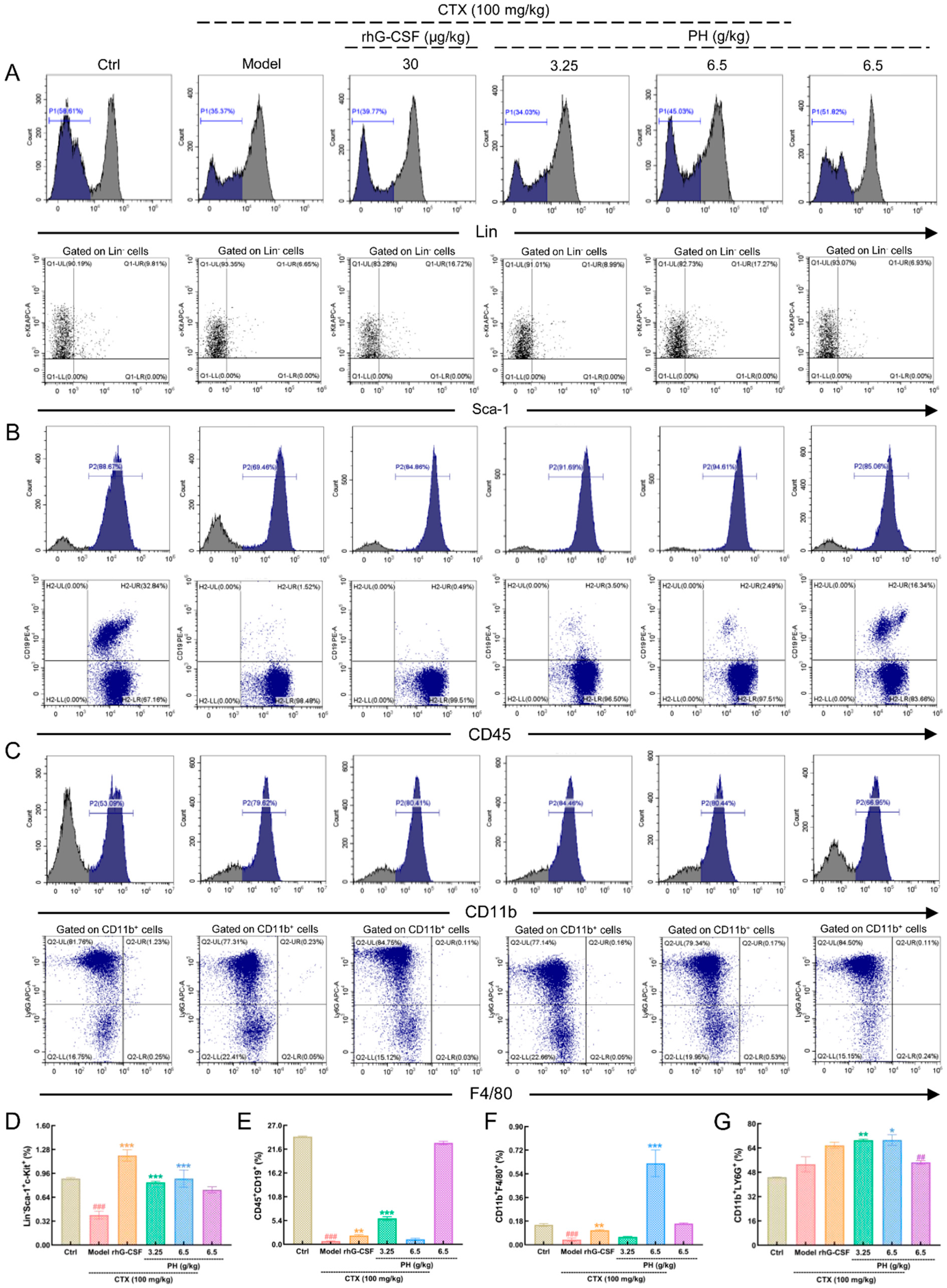 Cells 10 02776 g002 Cells 10 02776 g002