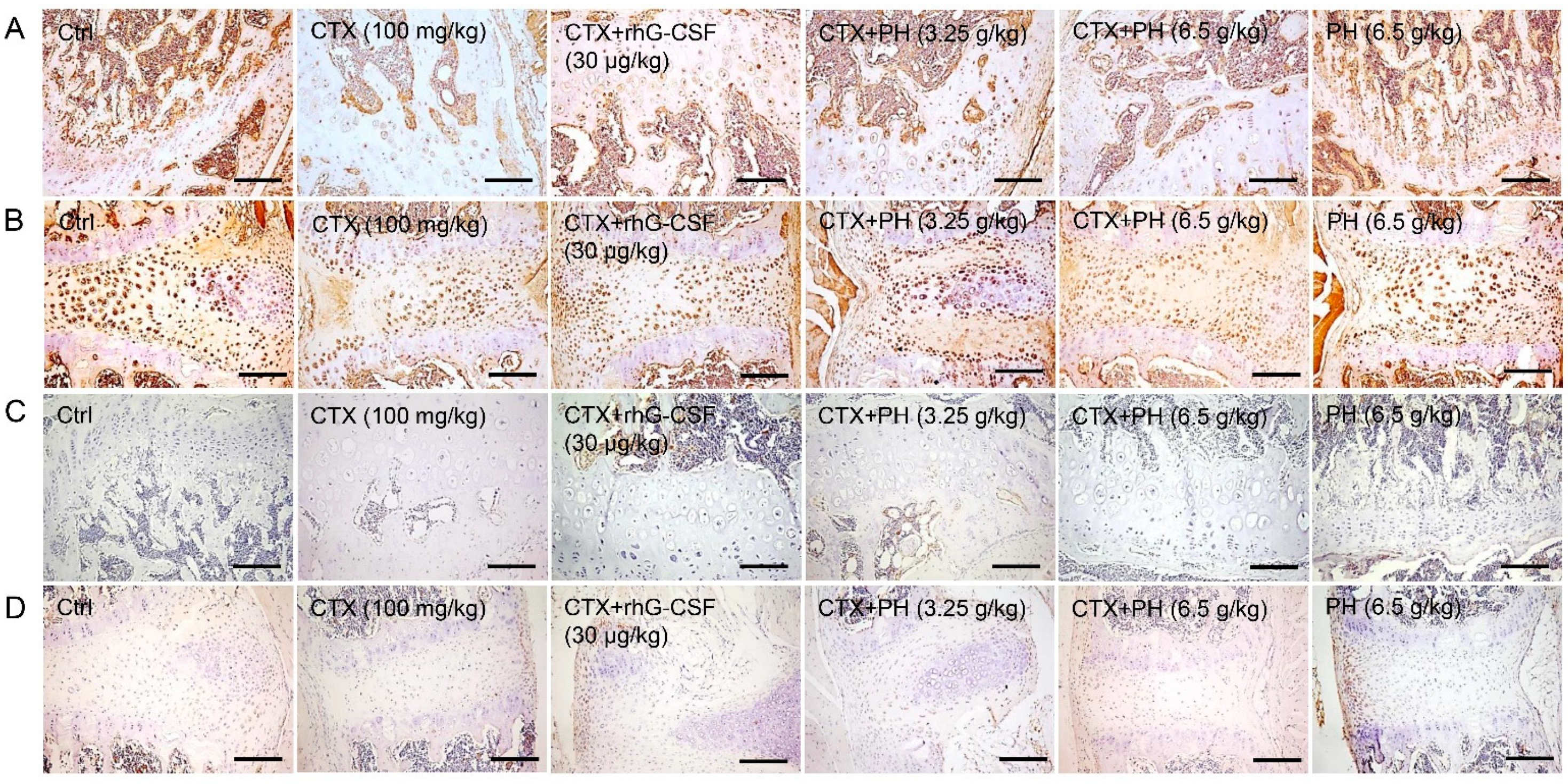 Cells 10 02776 g004 Cells 10 02776 g004