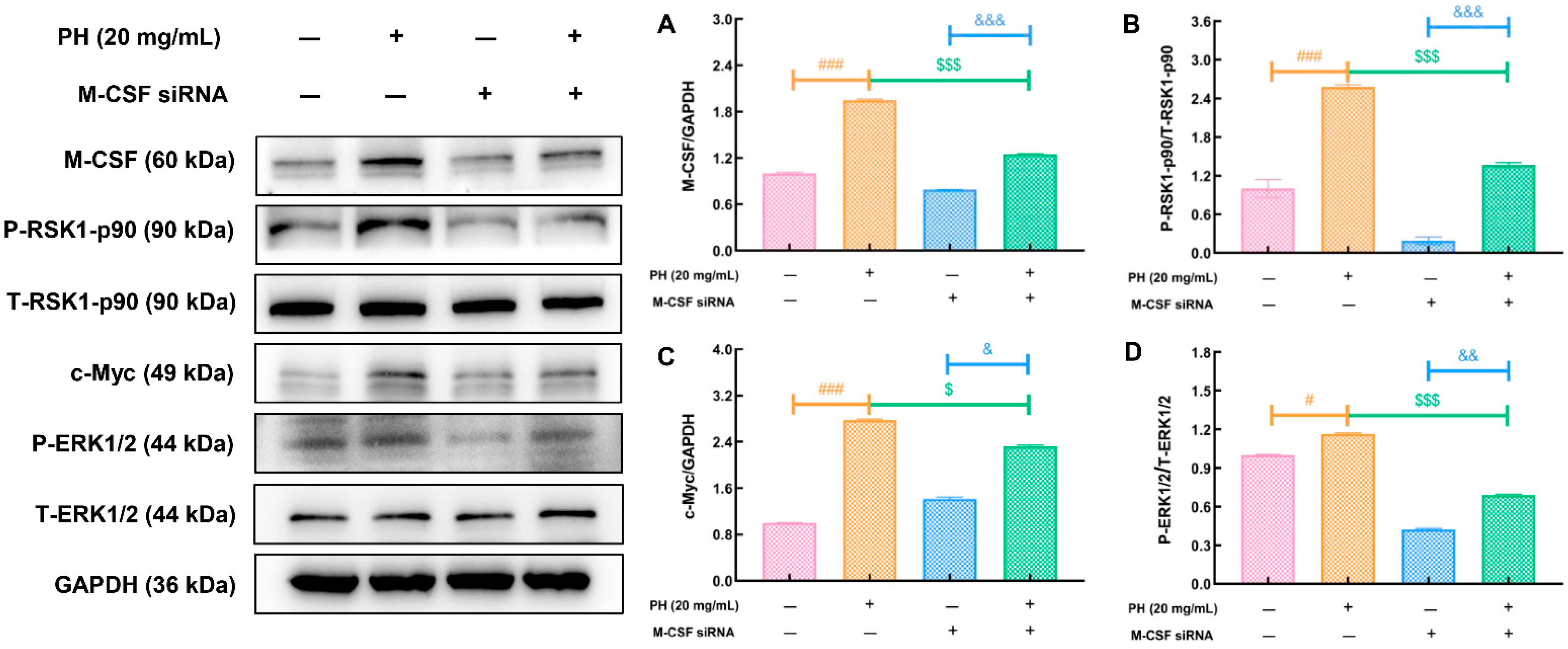 Cells 10 02776 g005 Cells 10 02776 g005