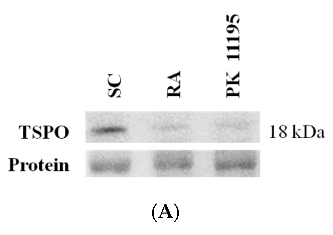 Term paper 11195 08 image