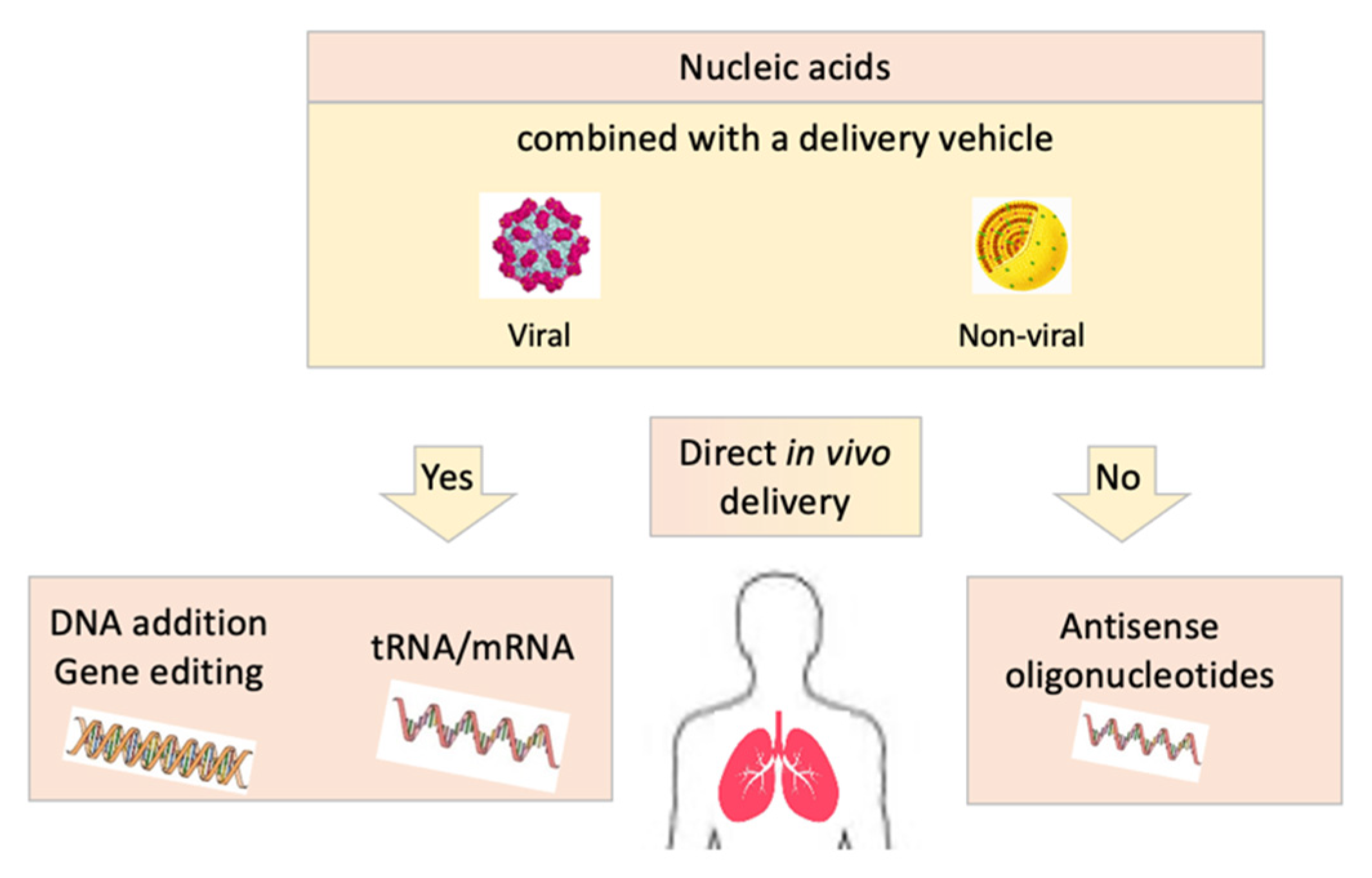 Cells Free Full Text Therapeutic Approaches For Patients With Cystic Fibrosis Not Eligible For Current Cftr Modulators Html