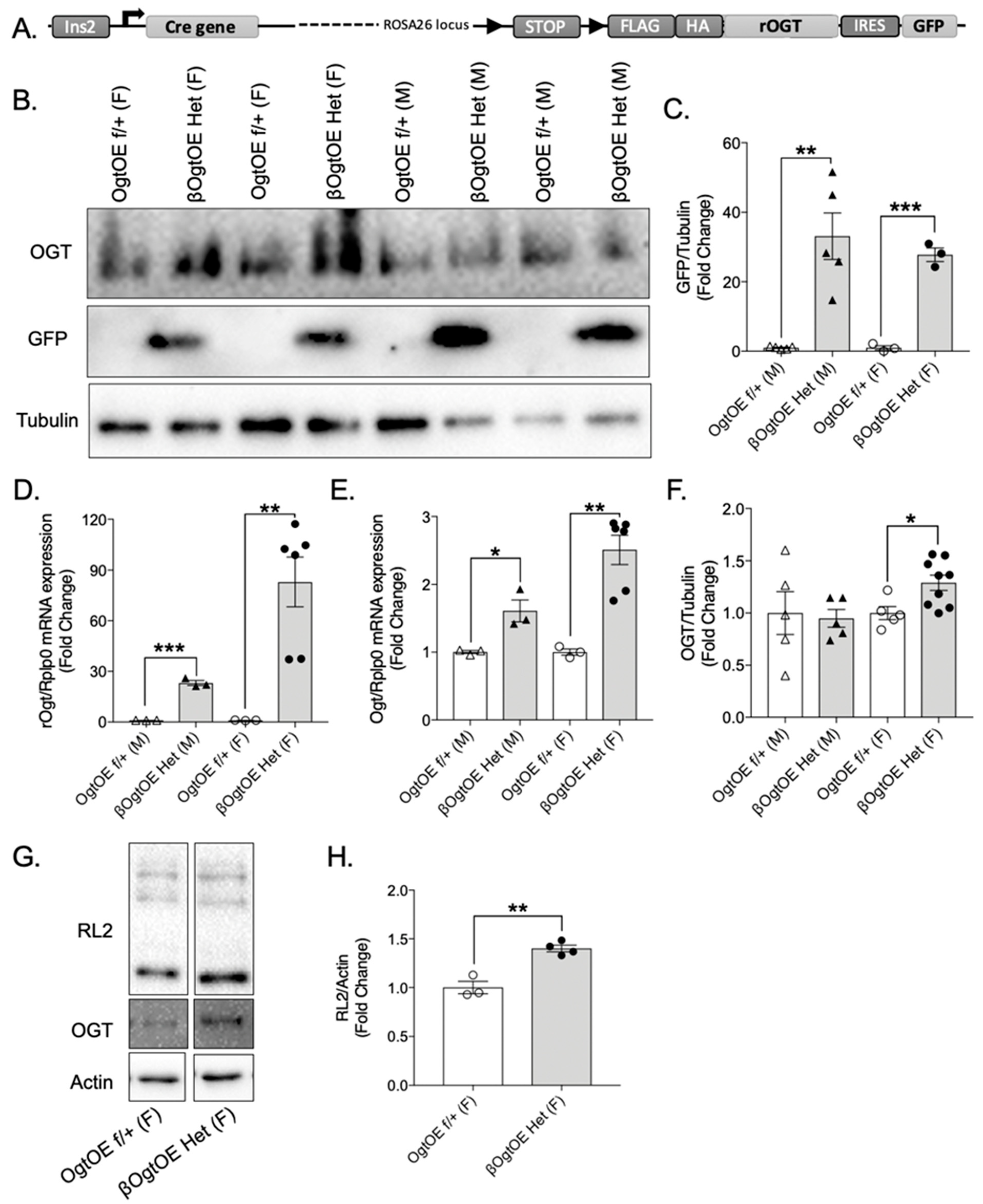 Cells 10 02801 g001 550