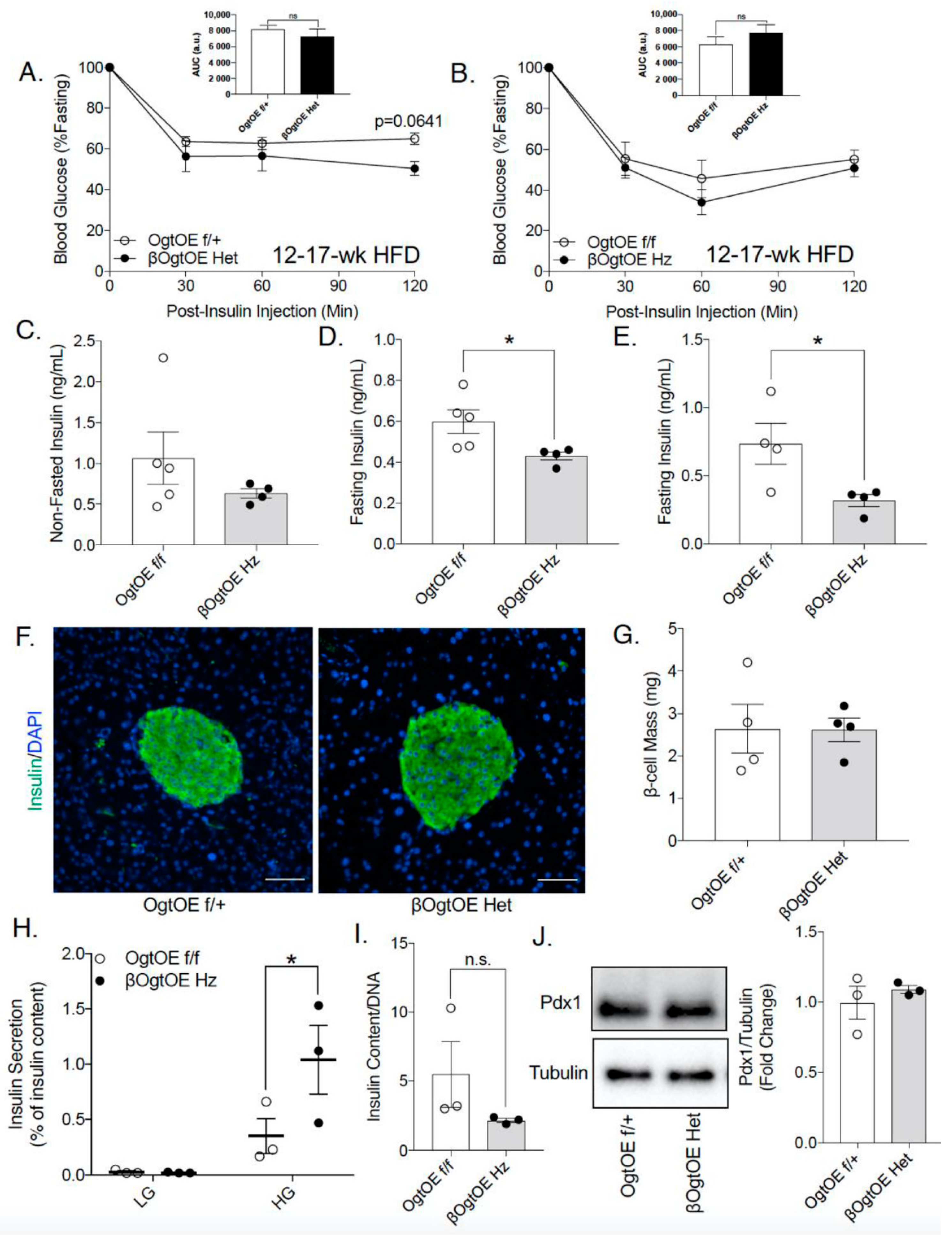 Cells 10 02801 g004 550