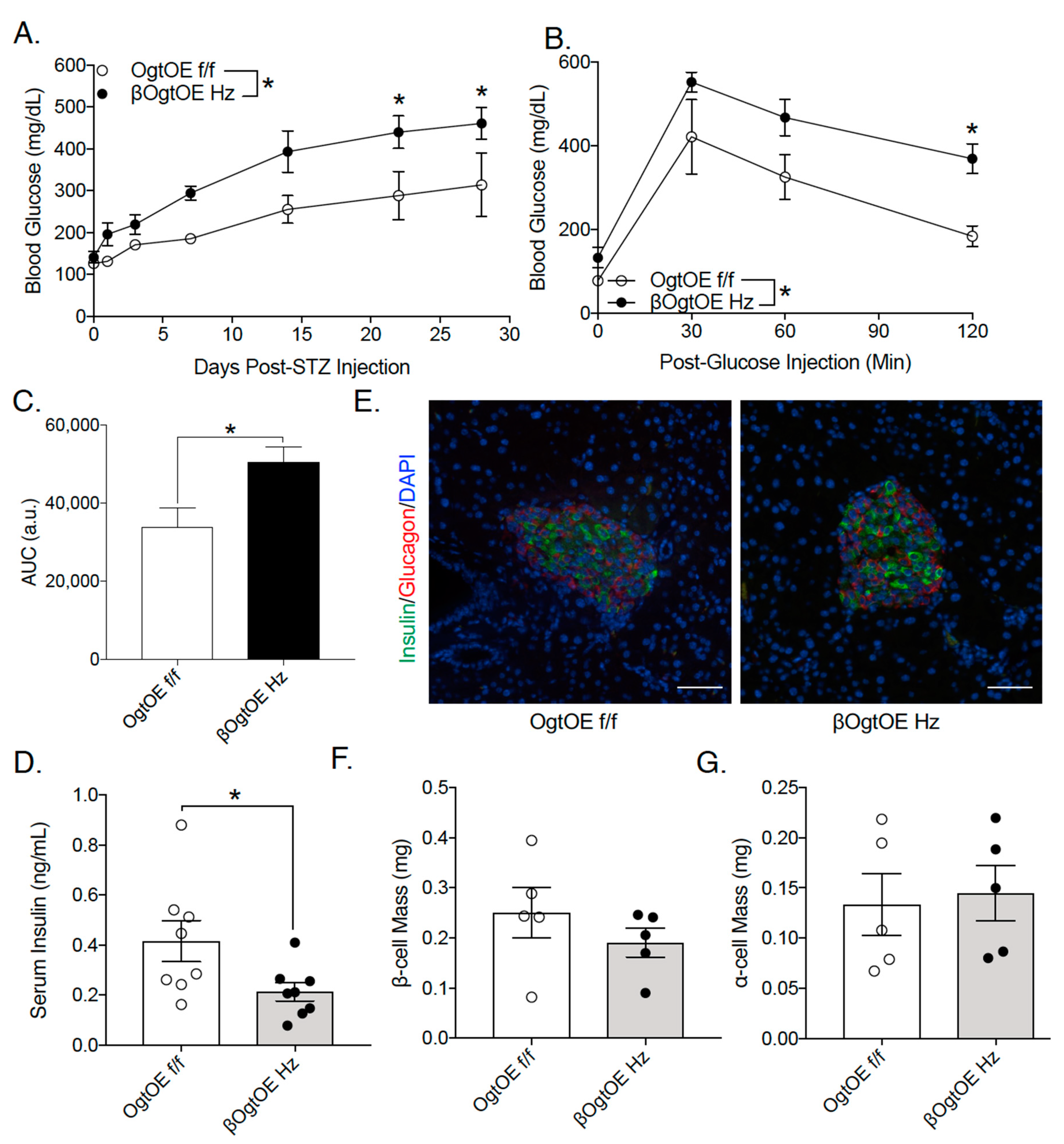 Cells 10 02801 g005 550