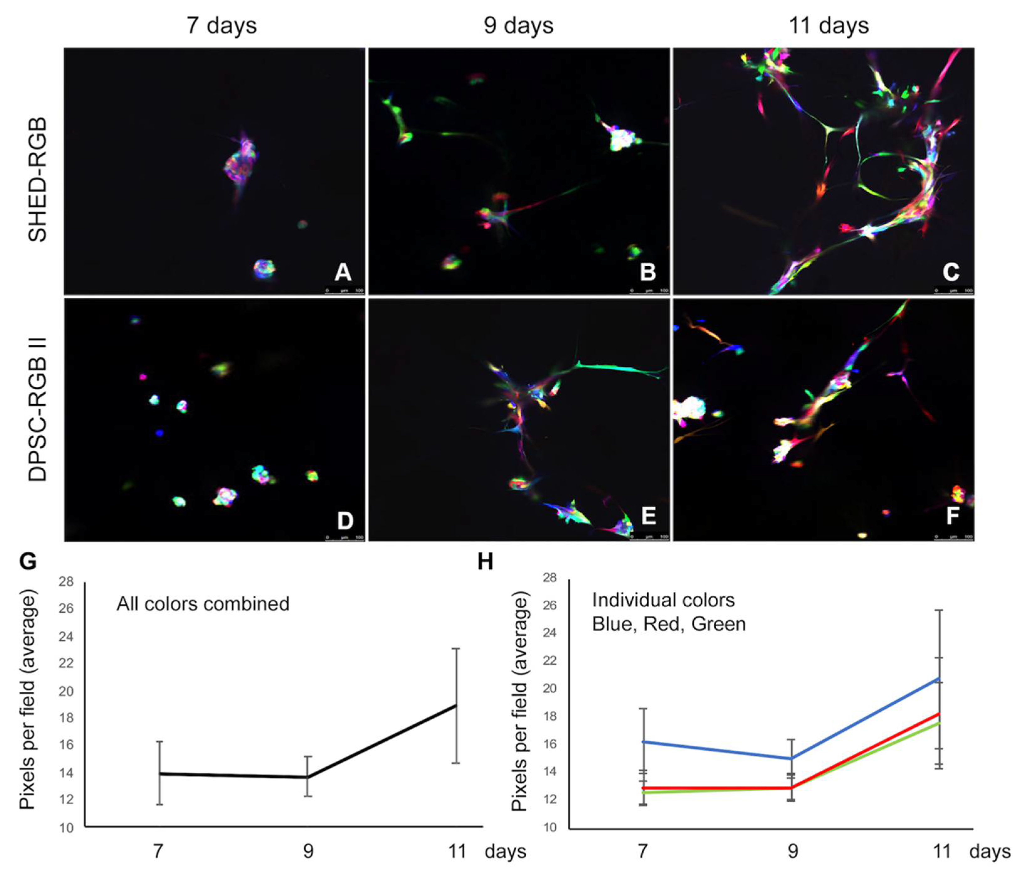 Cells 10 02804 g004 550