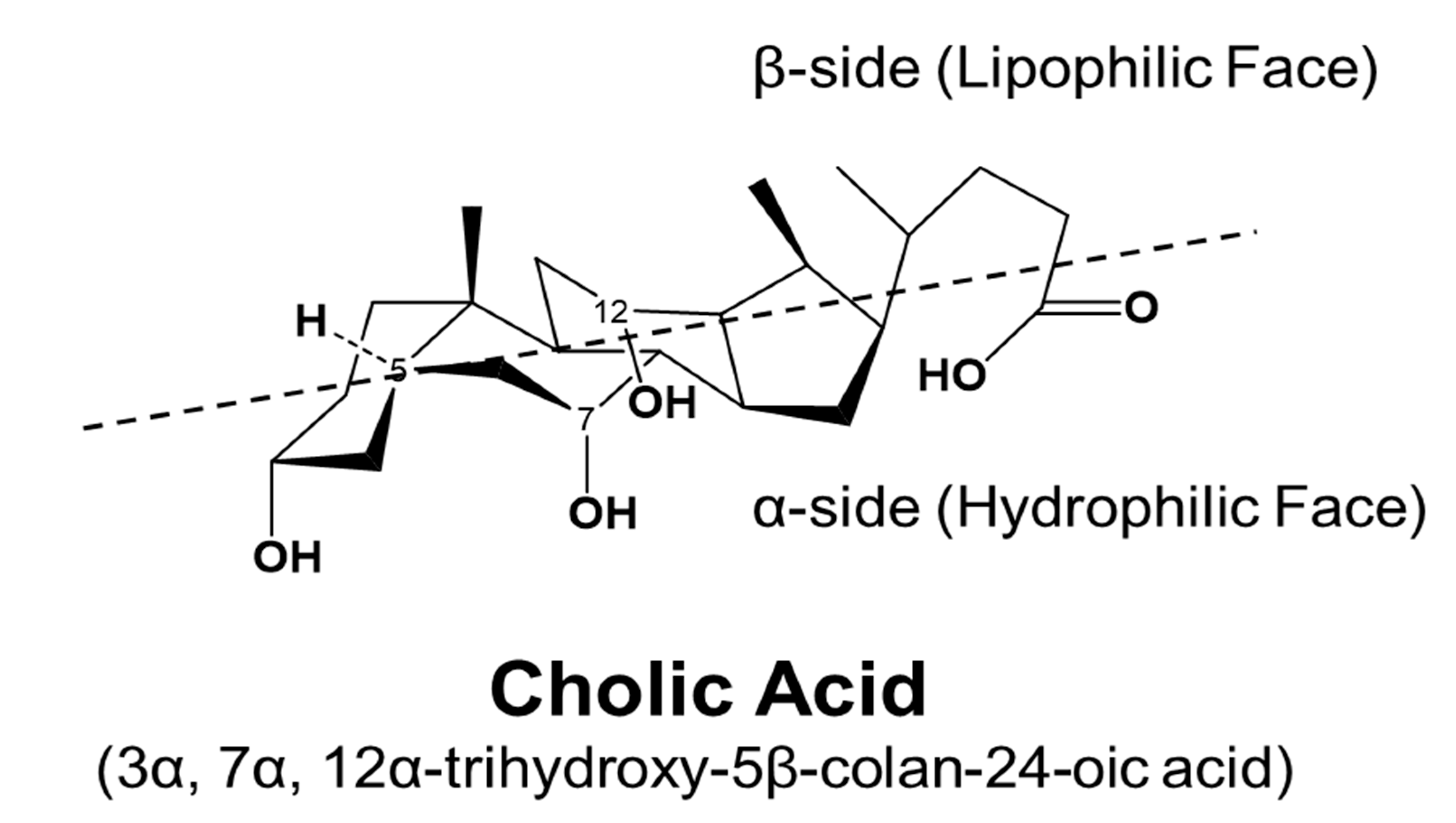 Cells 10 02806 g003 550