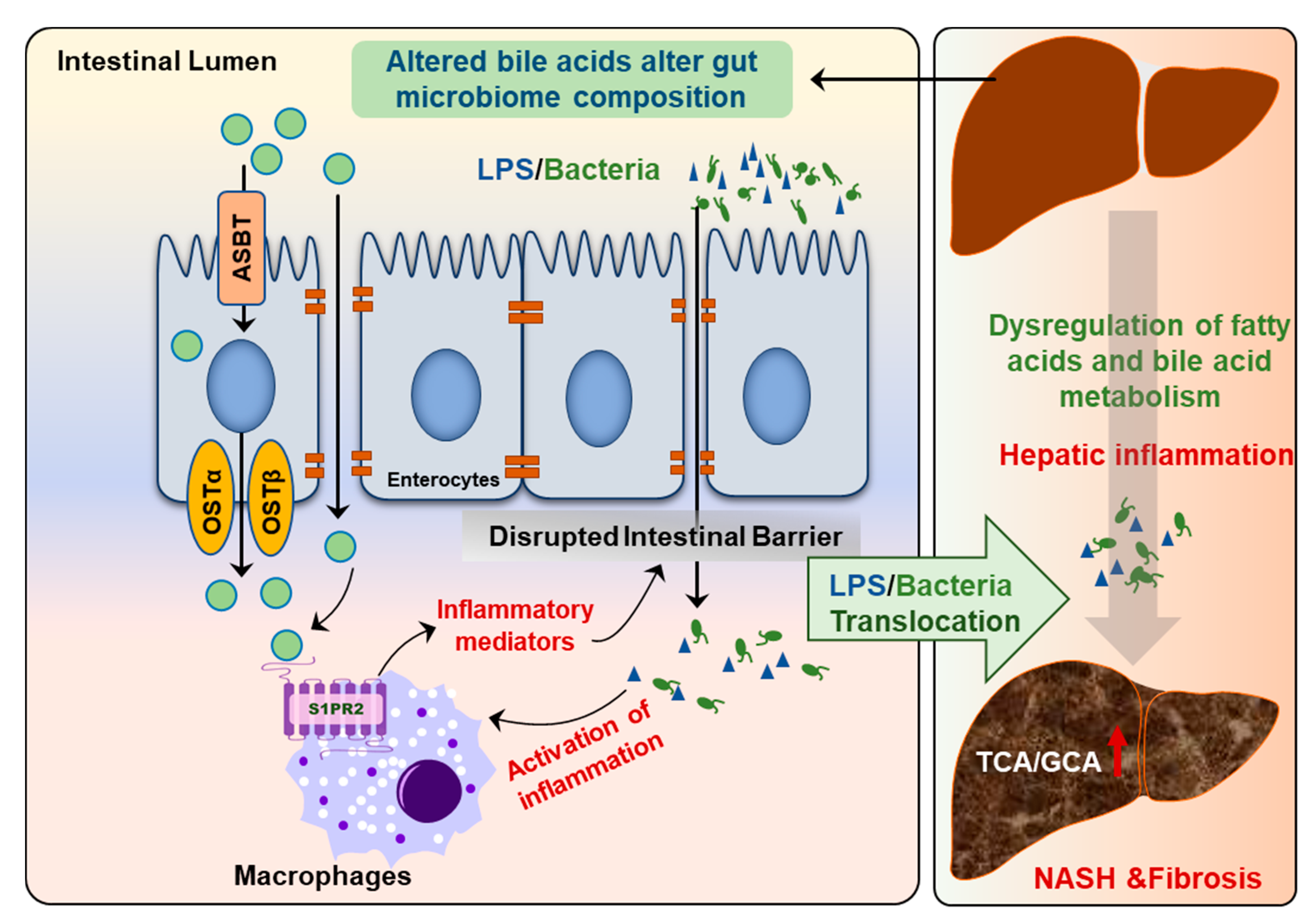 Cells 10 02806 g008 550