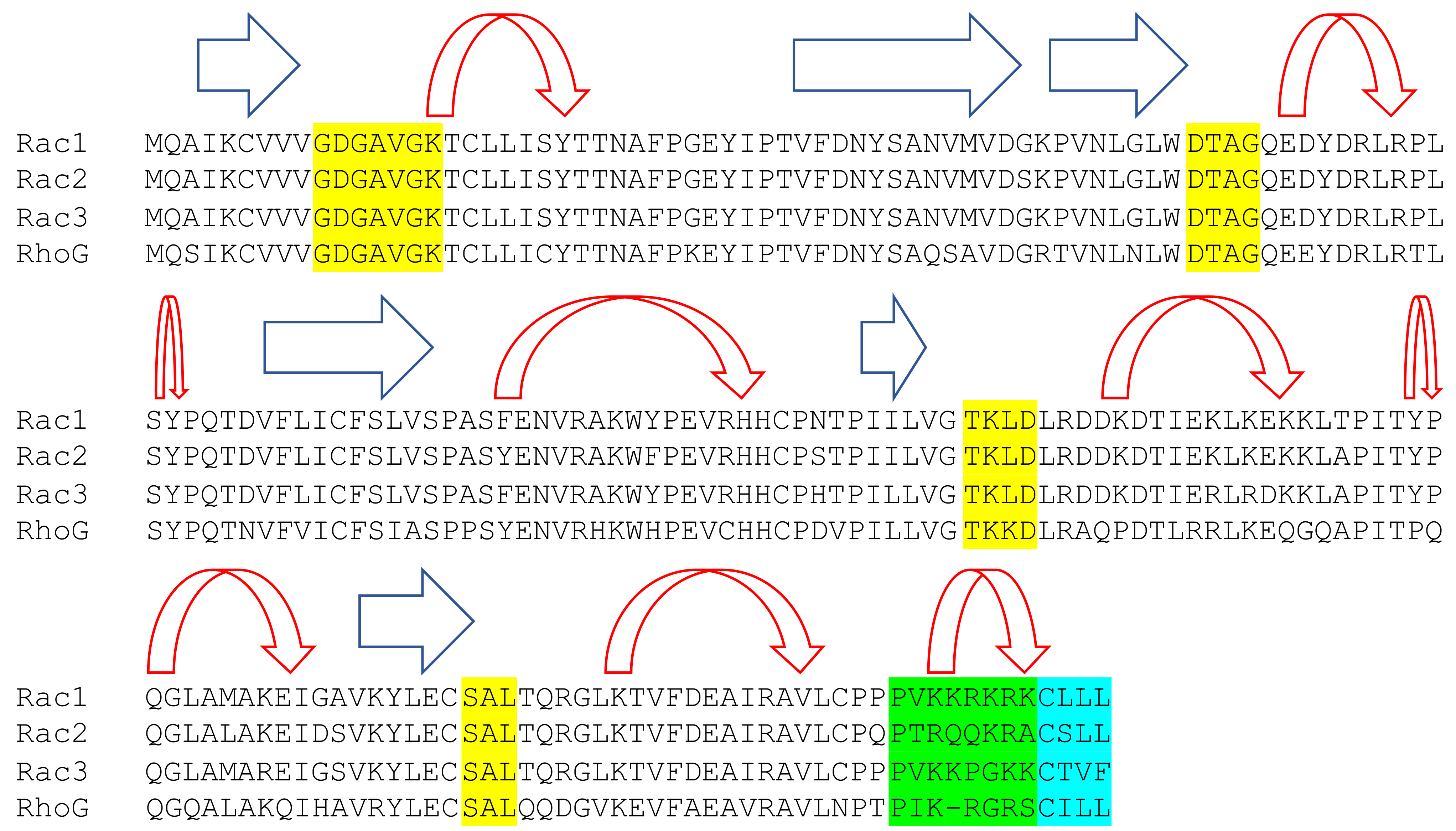 Cells 10 02808 g002 Cells 10 02808 g002
