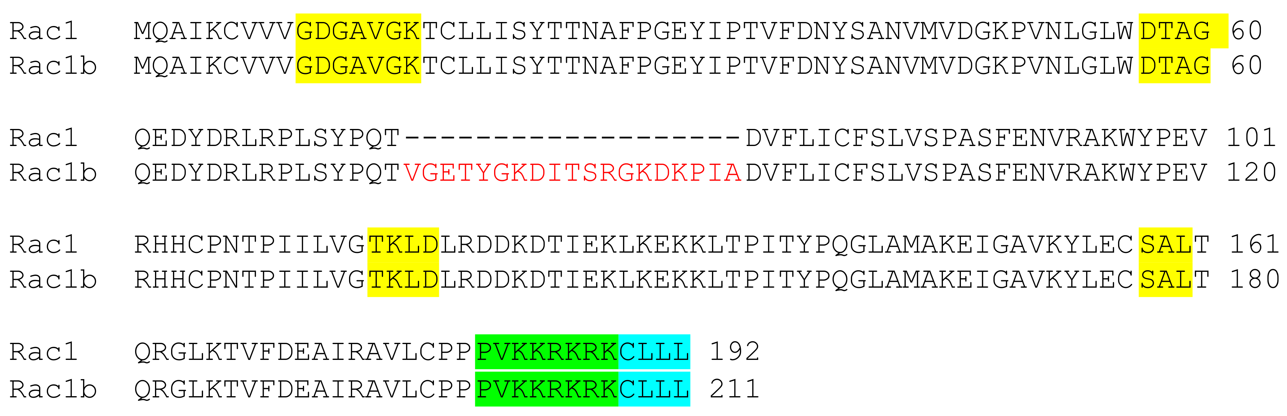 Cells 10 02808 g003 Cells 10 02808 g003
