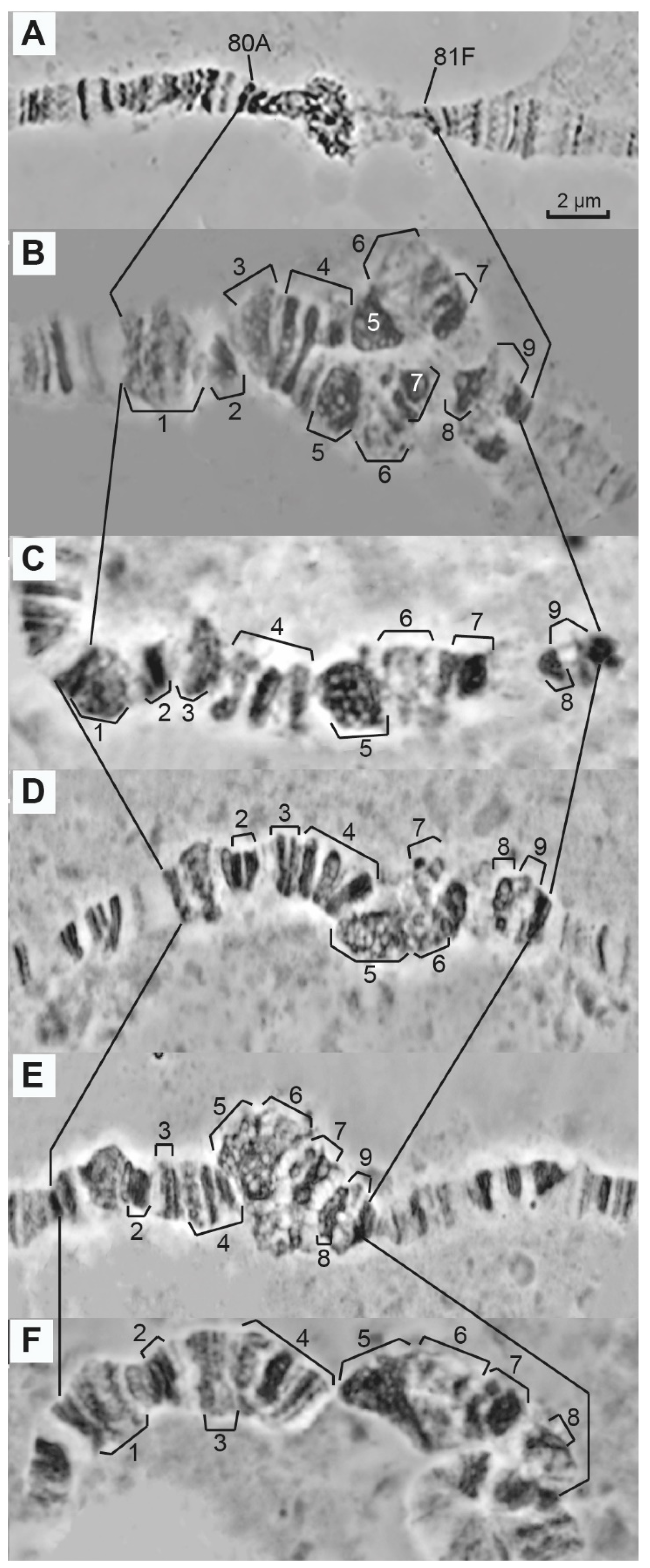 Cells 10 02809 g003 Cells 10 02809 g003