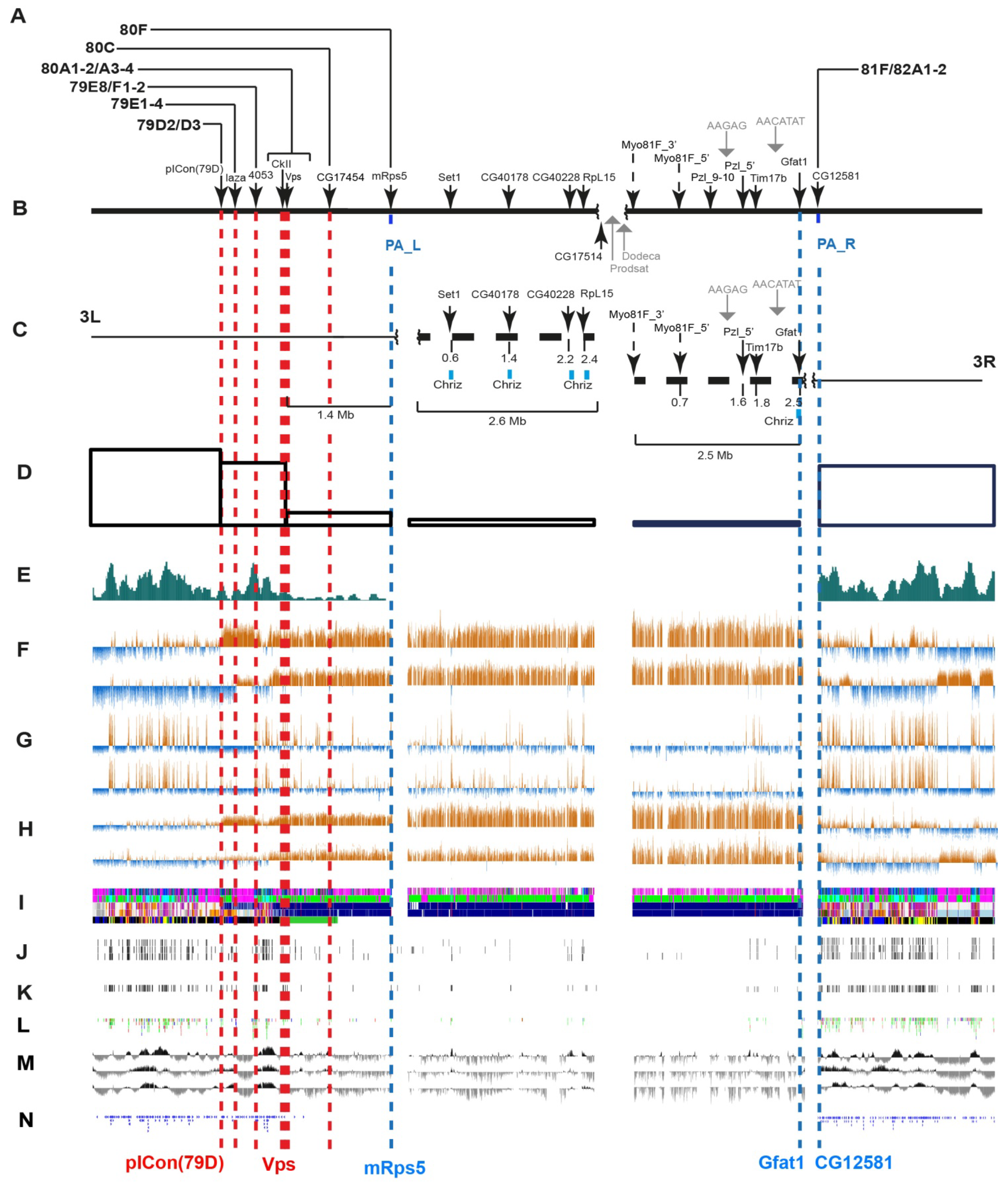 Cells 10 02809 g004 Cells 10 02809 g004