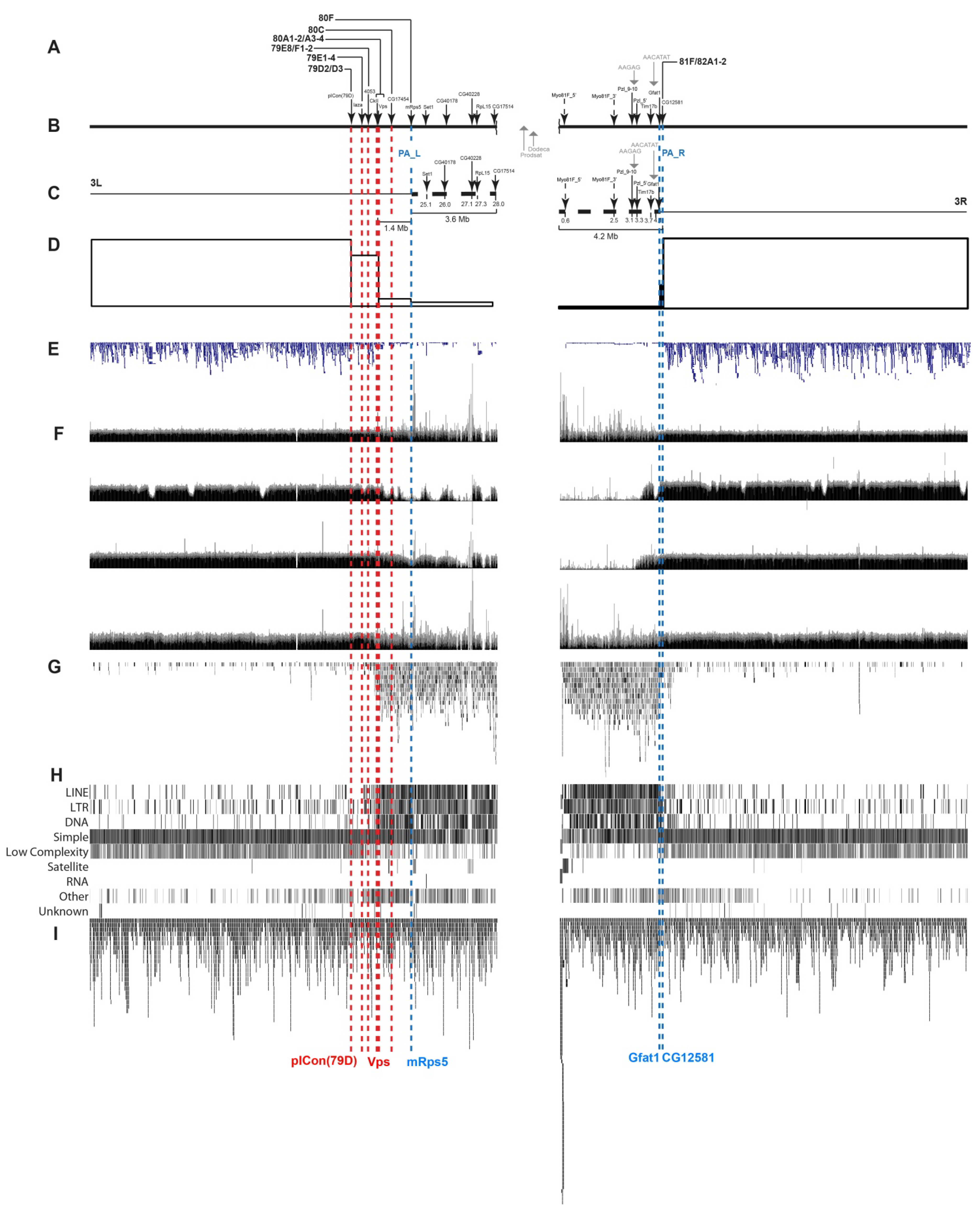 Cells 10 02809 g005 Cells 10 02809 g005