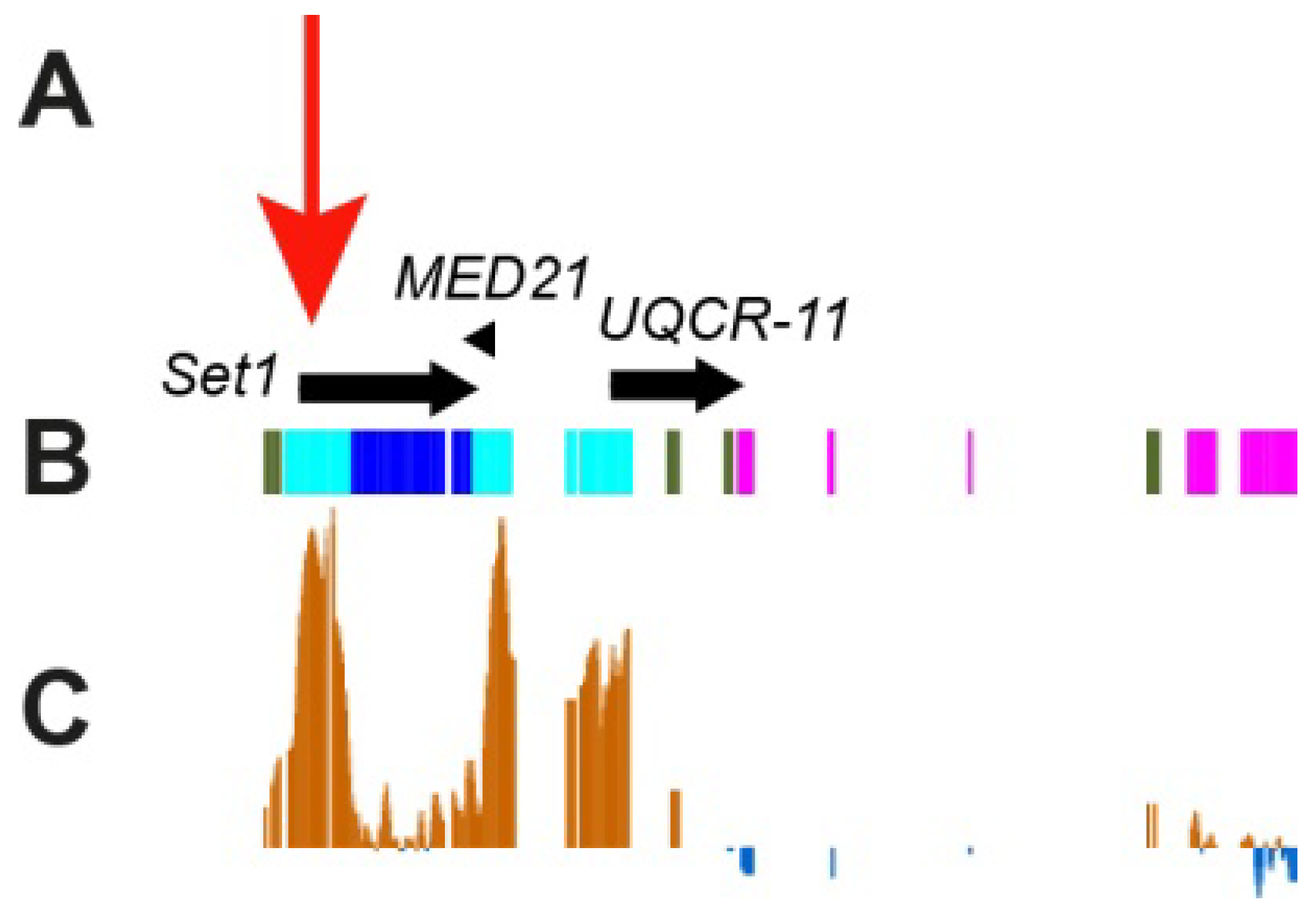 Cells 10 02809 g006 Cells 10 02809 g006