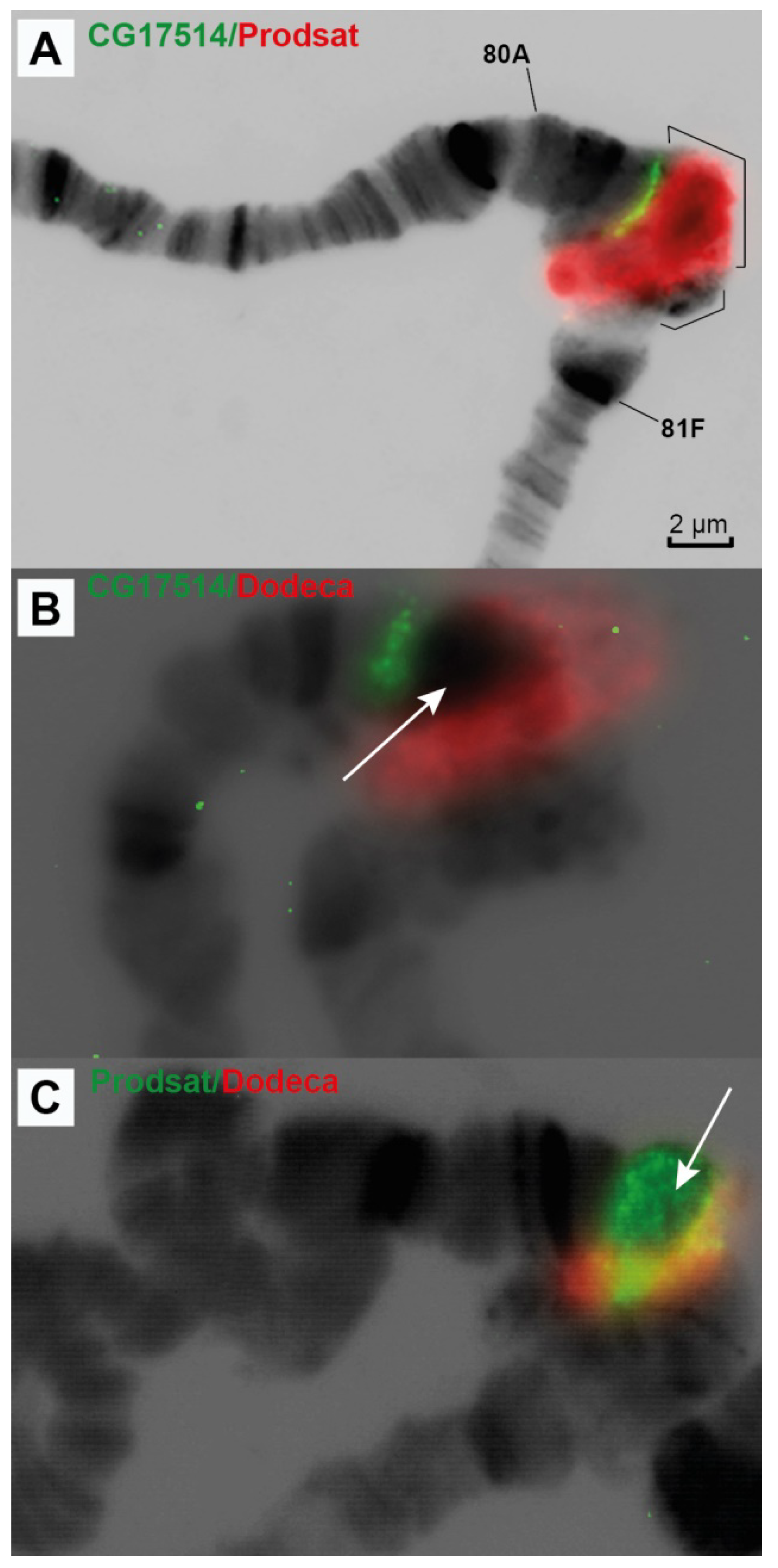 Cells 10 02809 g009 Cells 10 02809 g009