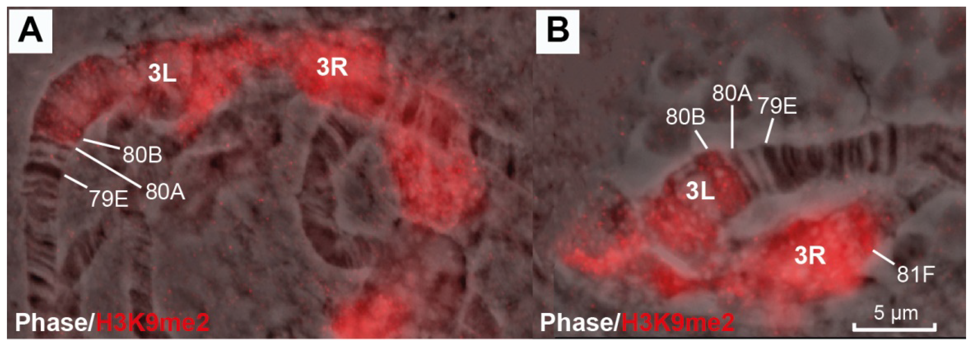 Cells 10 02809 g013 Cells 10 02809 g013