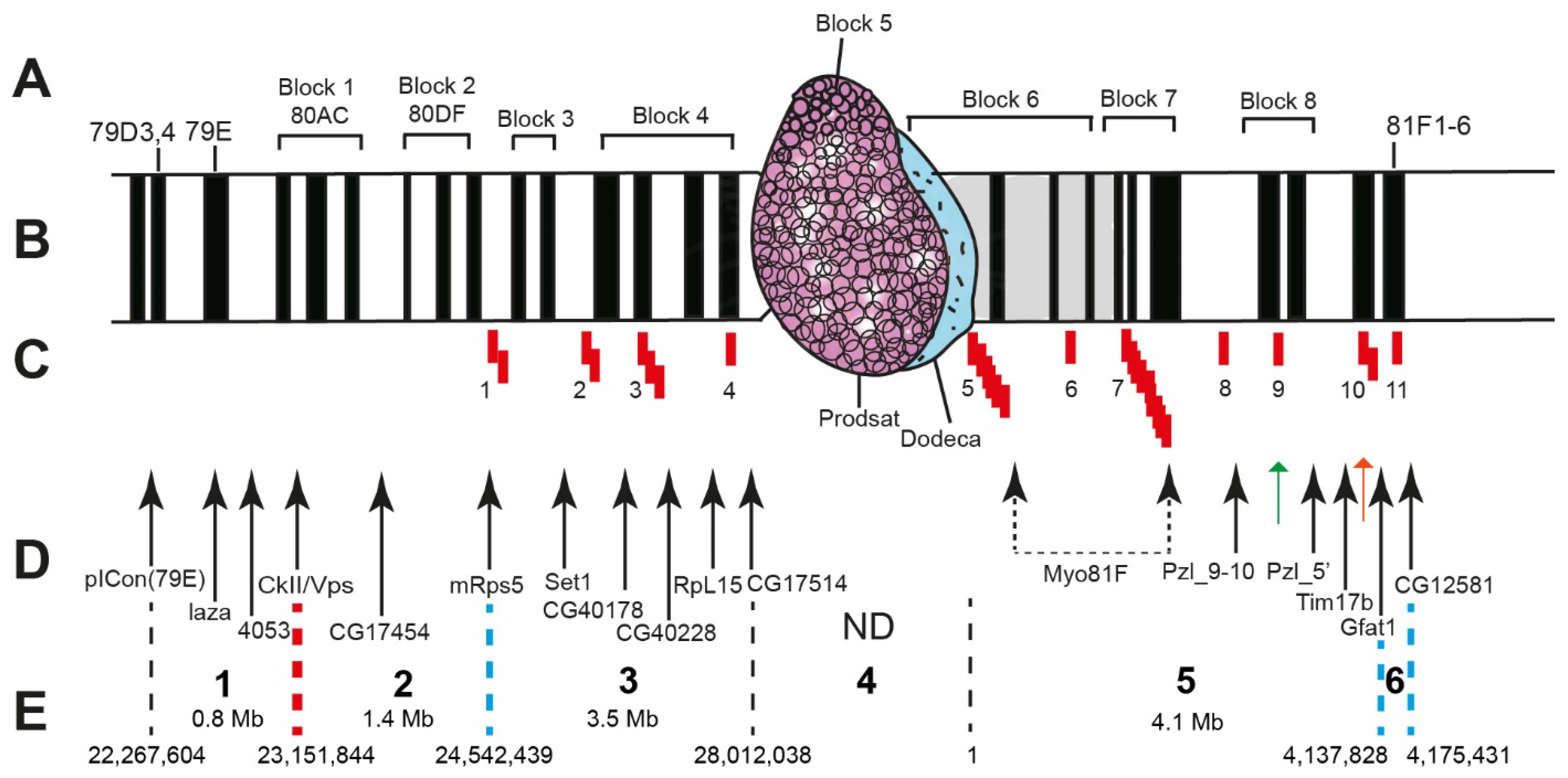 Cells 10 02809 g015 Cells 10 02809 g015