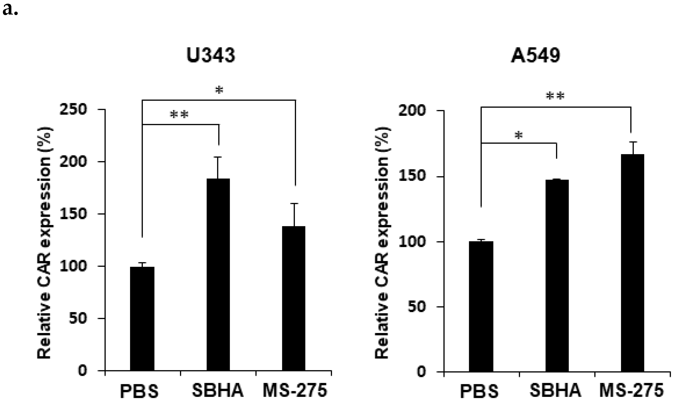 Cells 10 02811 g002a