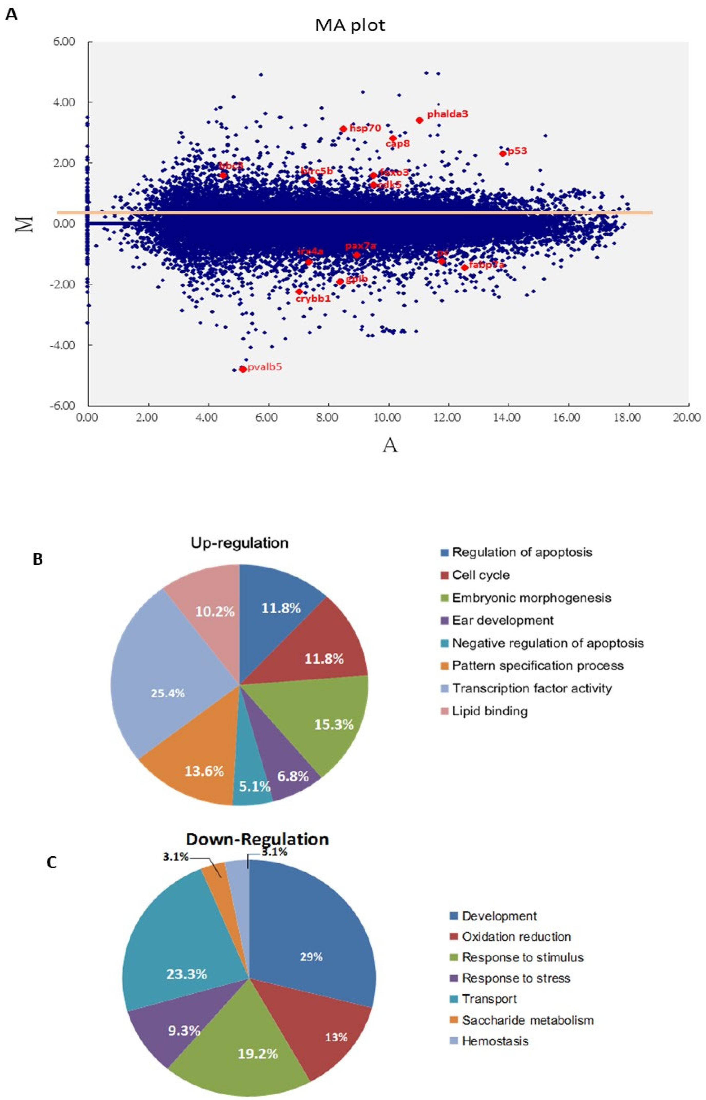 Cells 10 02820 g002 550