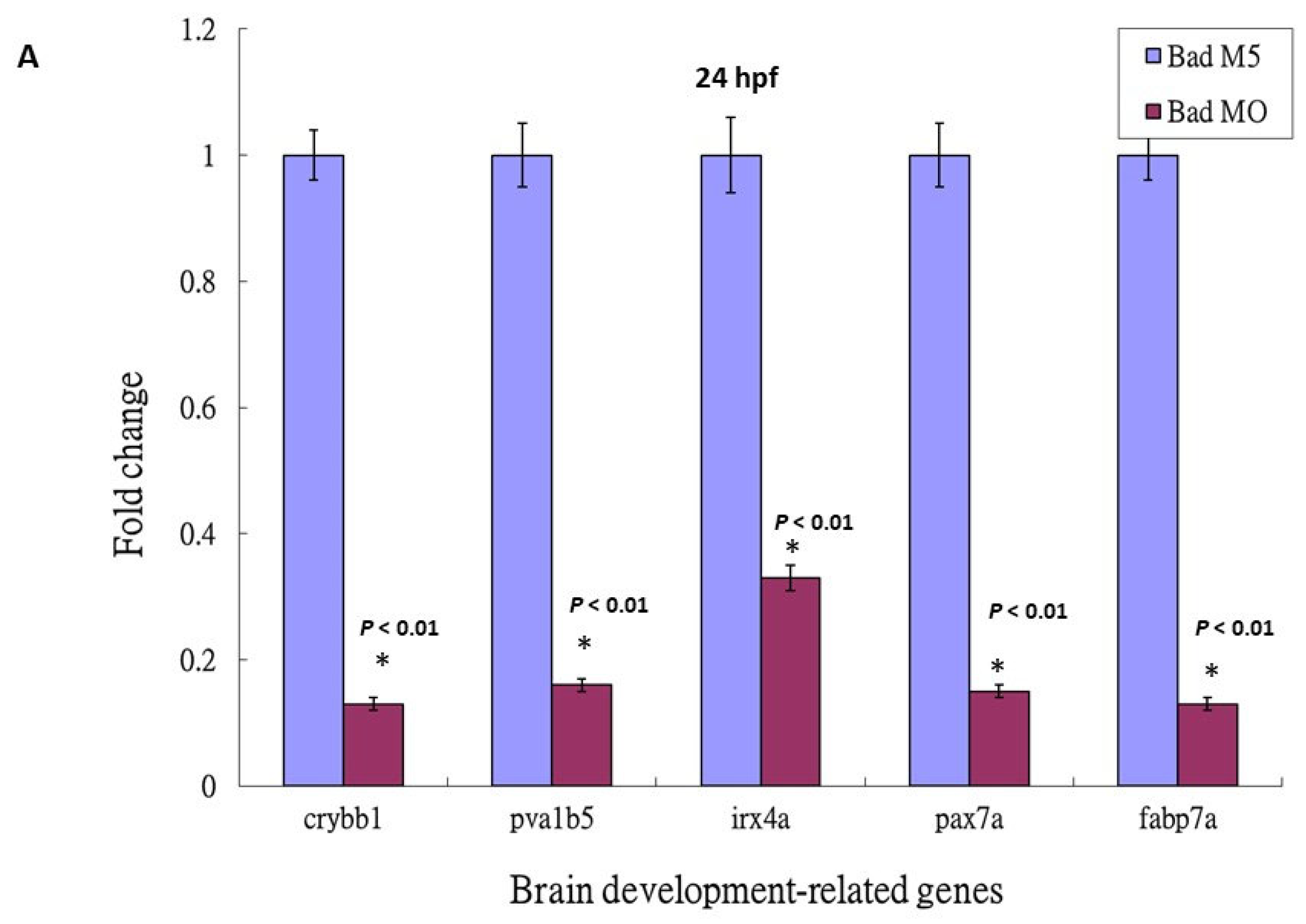 Cells 10 02820 g005a 550