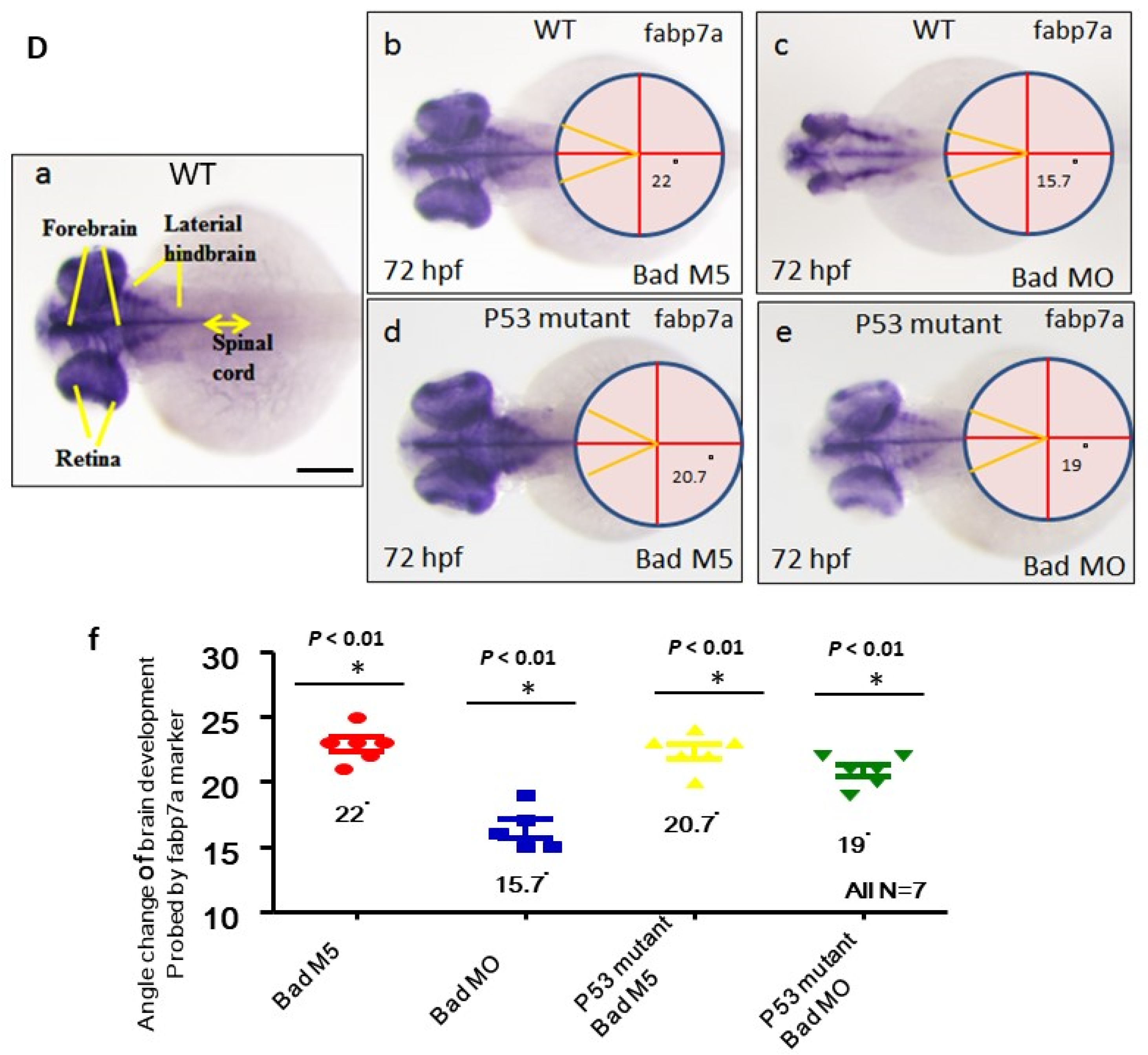 Cells 10 02820 g006b 550