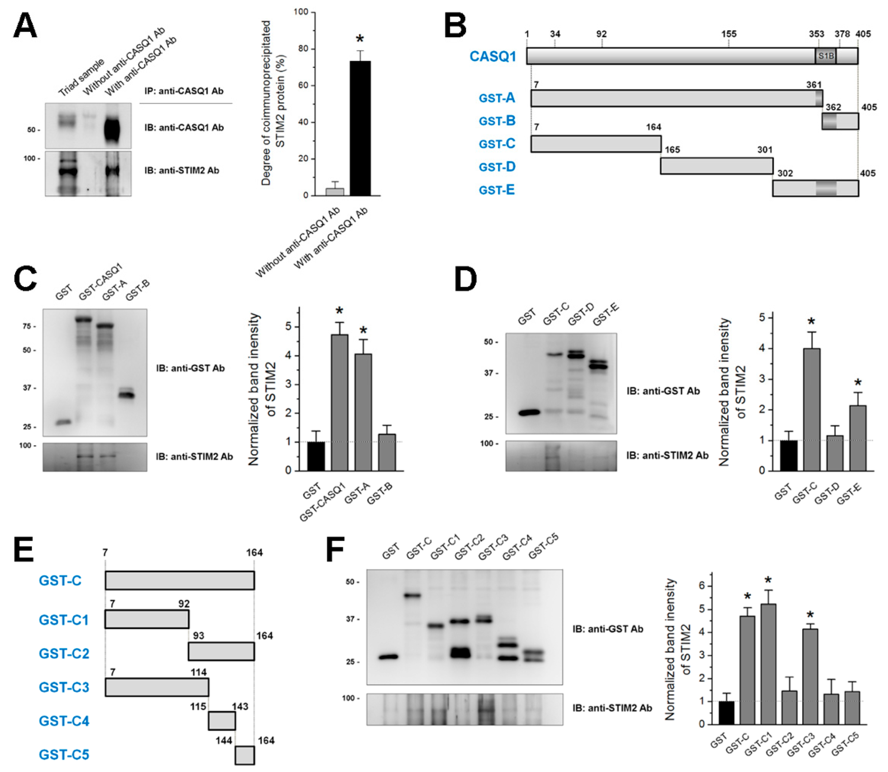Cells 10 02821 g001 550