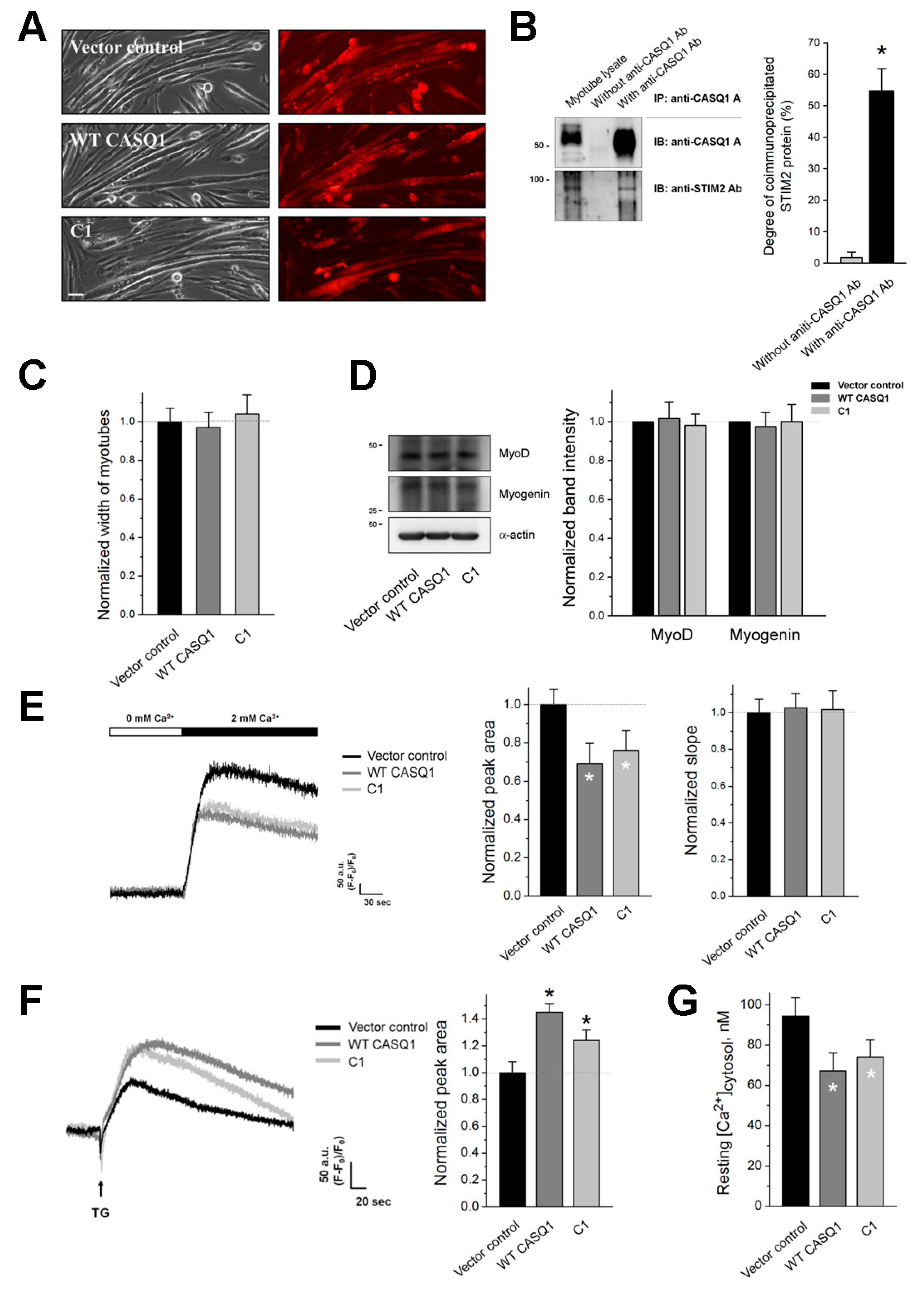 Cells 10 02821 g002 550