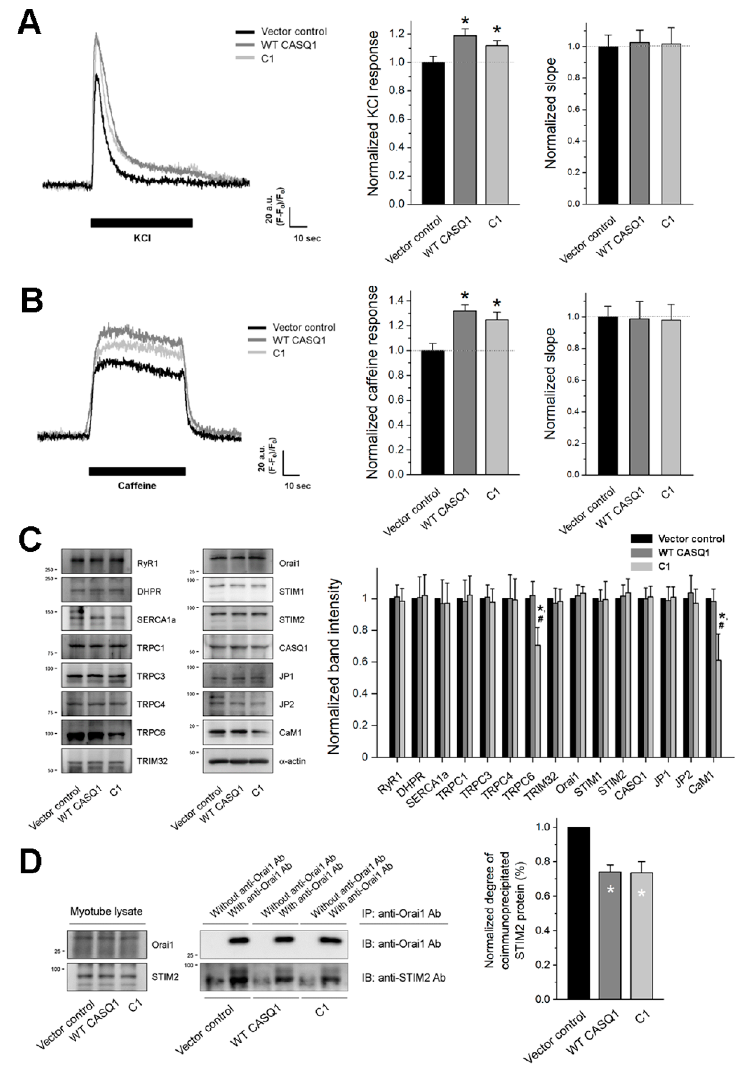 Cells 10 02821 g003 550