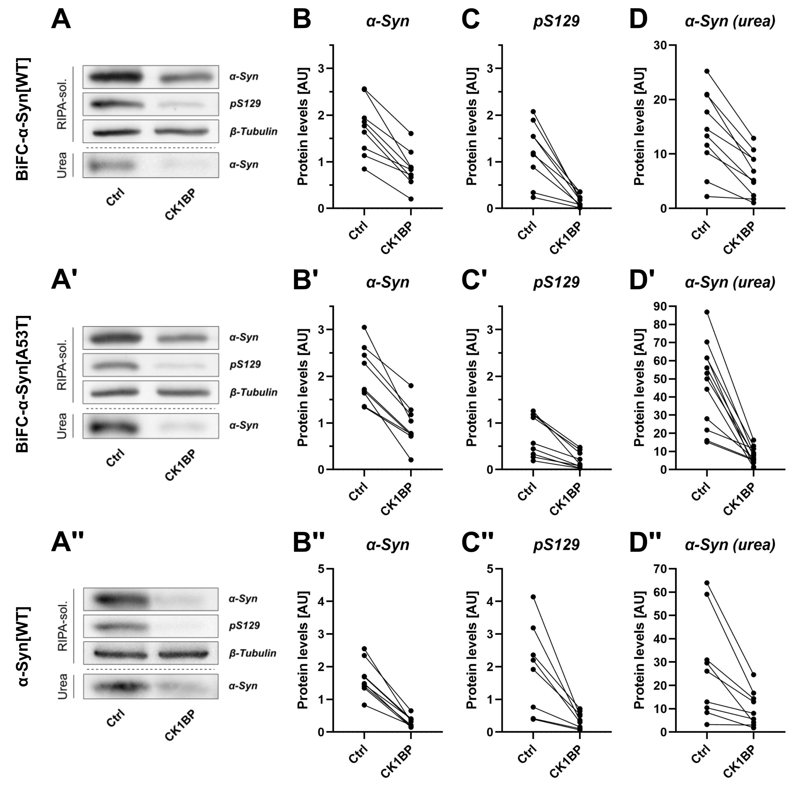 Cells 10 02830 g002 Cells 10 02830 g002