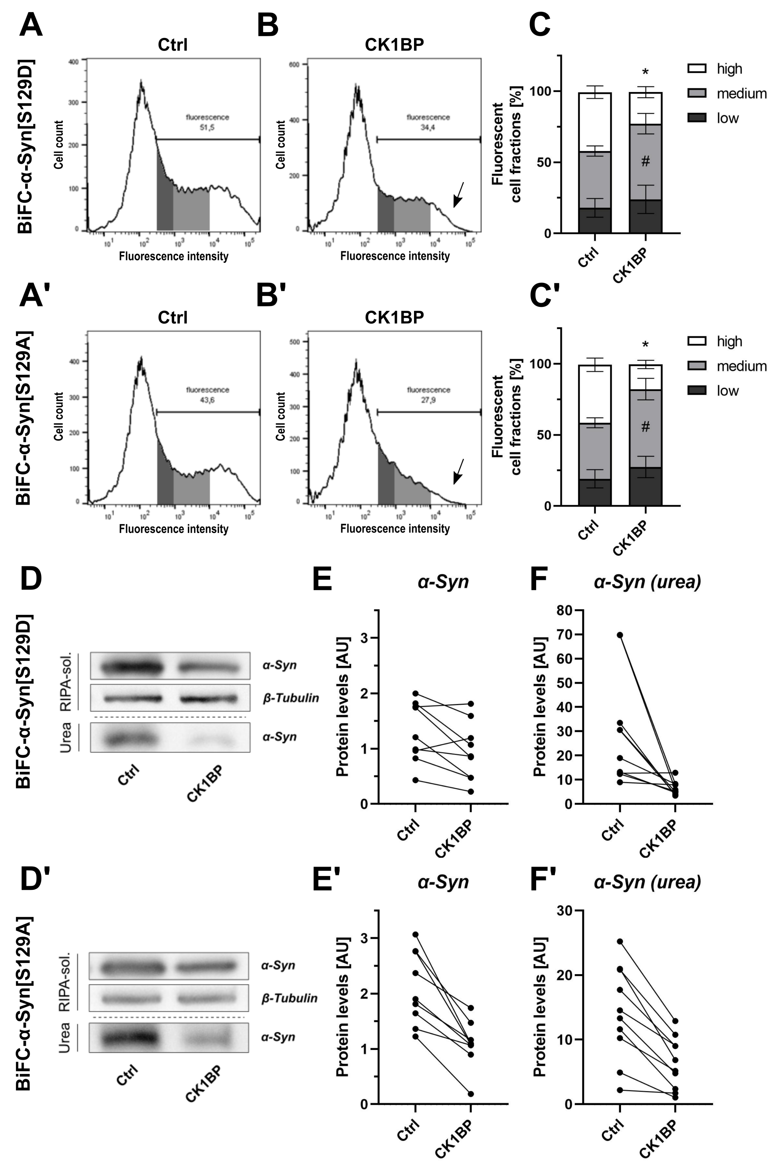 Cells 10 02830 g003 Cells 10 02830 g003