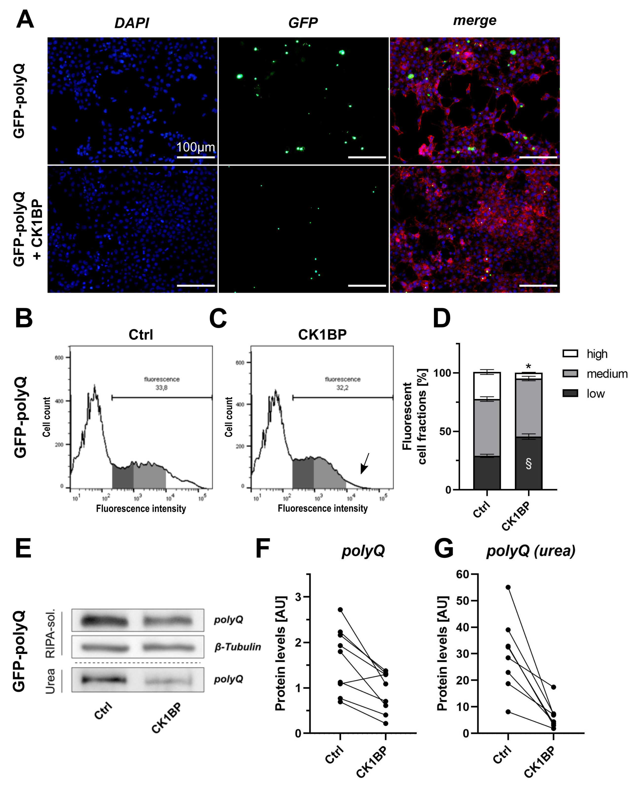 Cells 10 02830 g004 Cells 10 02830 g004