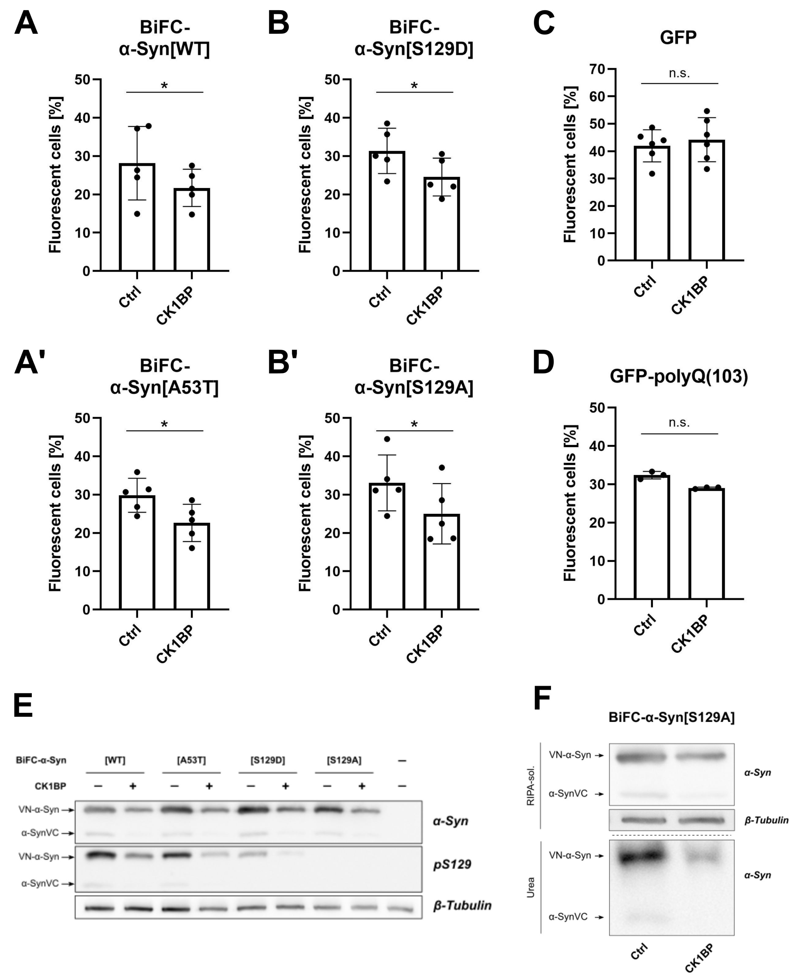 Cells 10 02830 g0a3 Cells 10 02830 g0a3