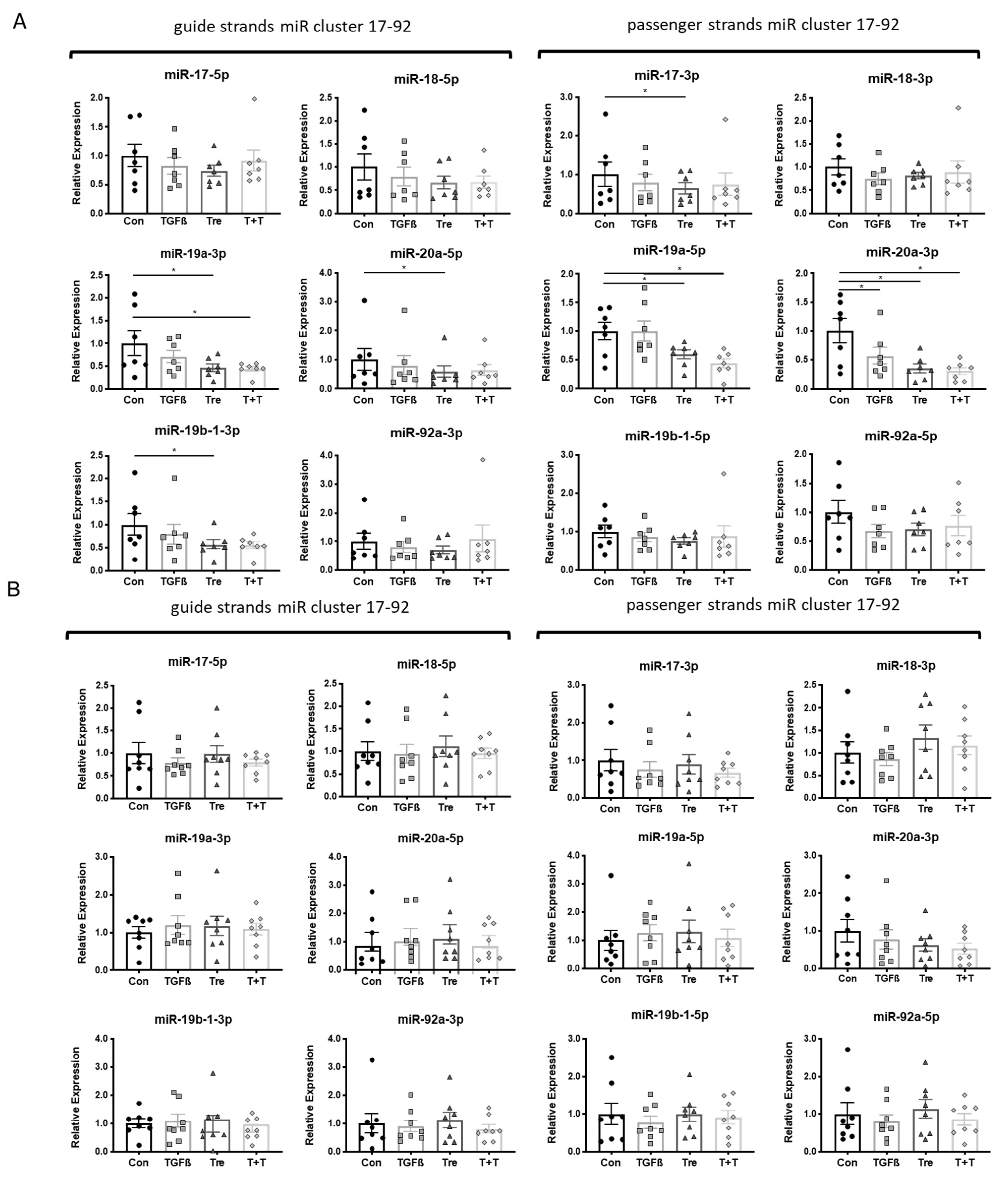 Cells 10 02836 g002a