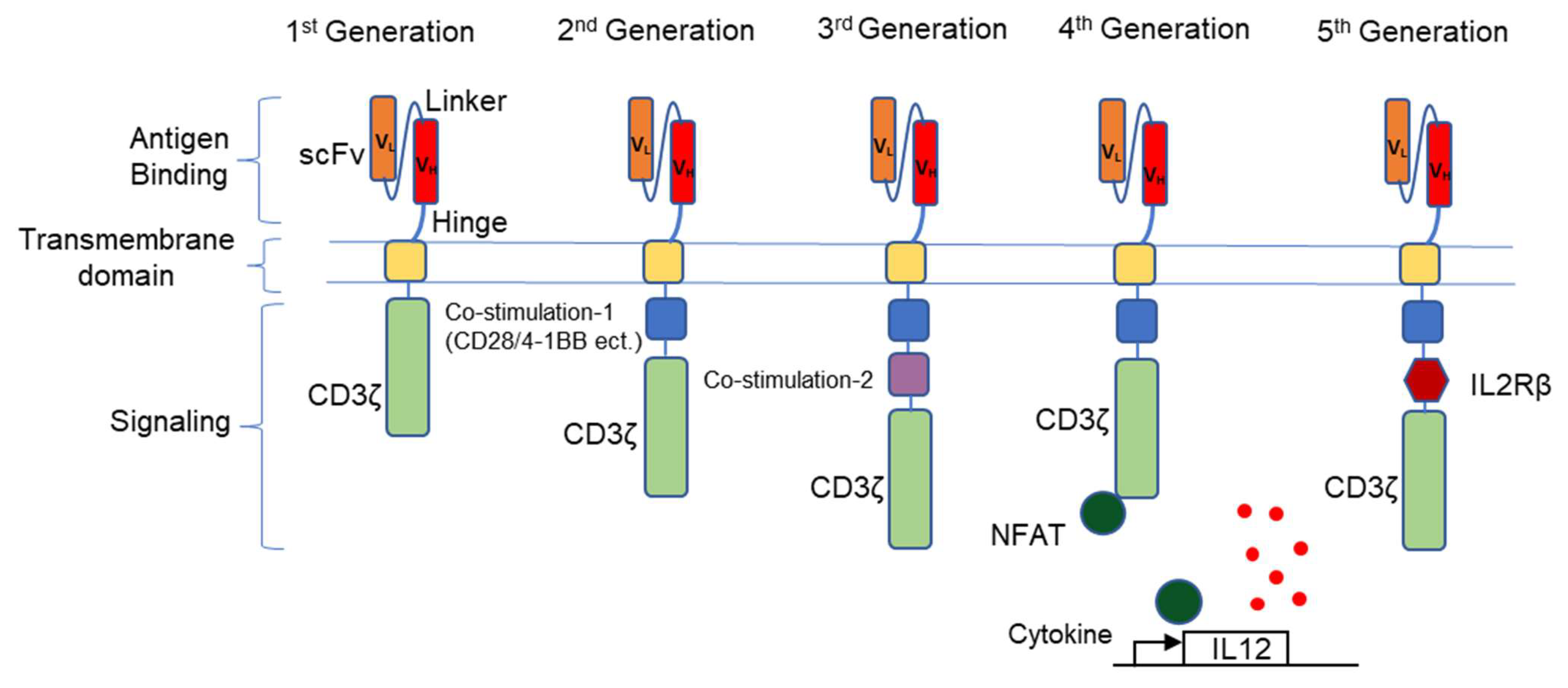Cells 10 02845 g001 550