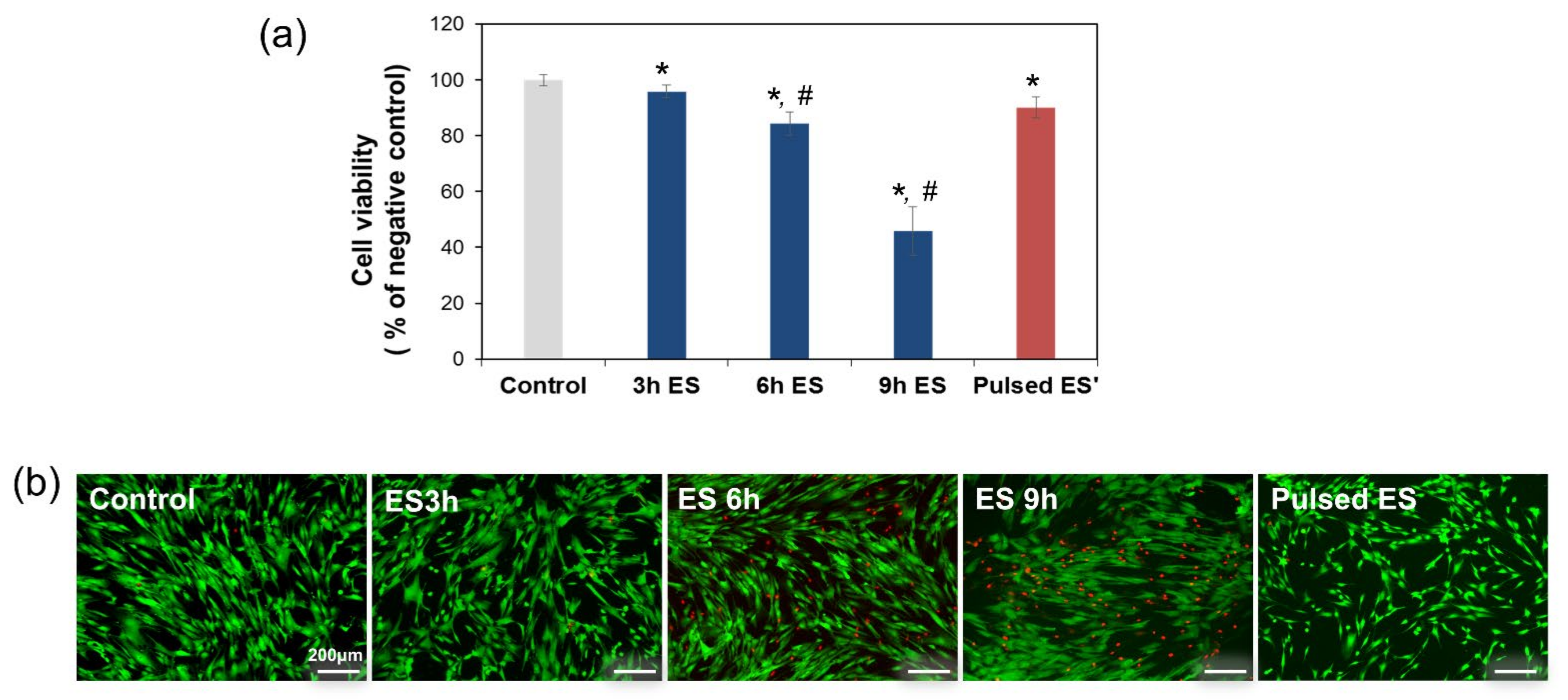 Cells 10 02846 g002 Cells 10 02846 g002