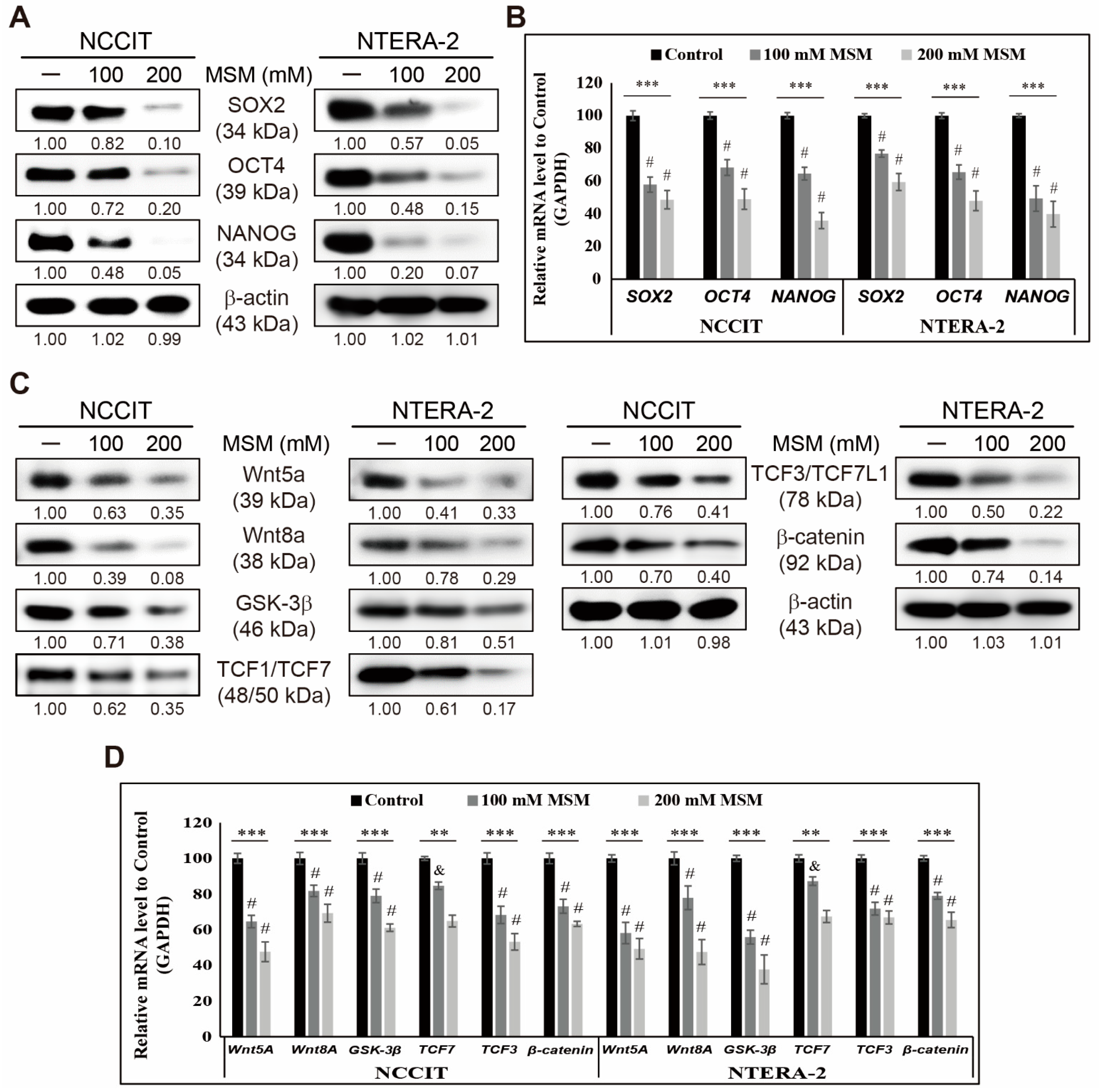 Cells 10 02847 g001 550