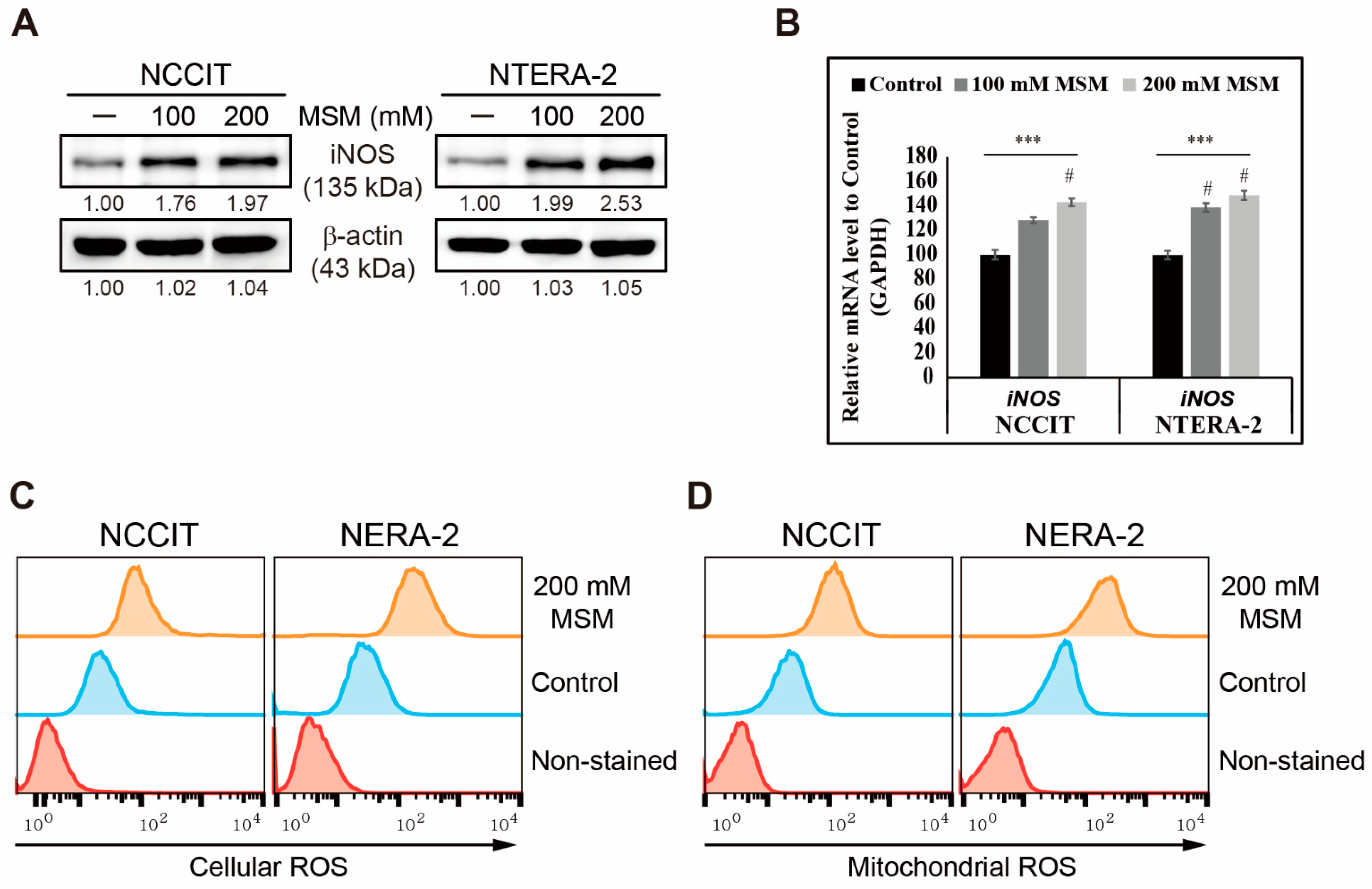 Cells 10 02847 g002 550