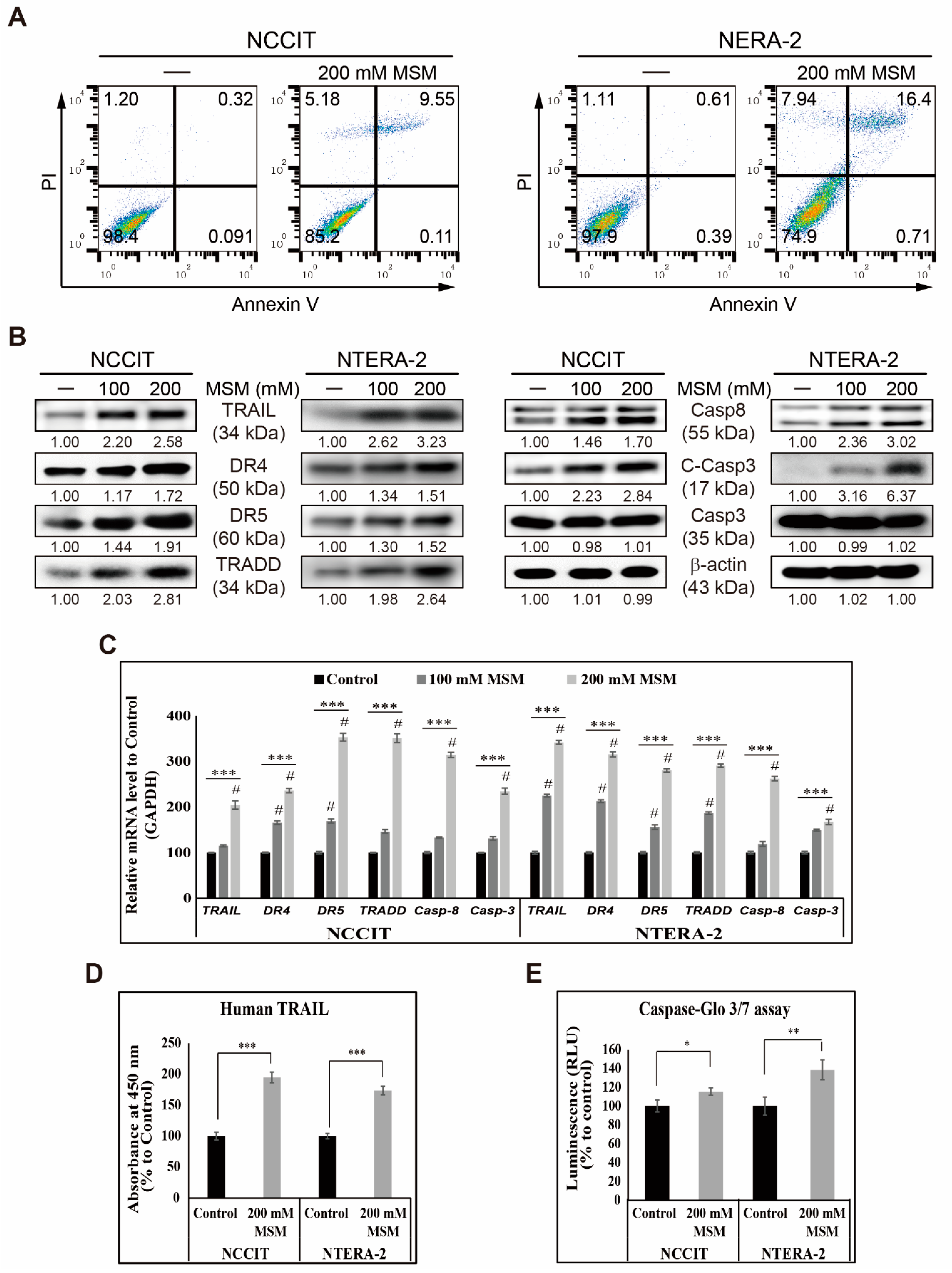 Cells 10 02847 g003 550