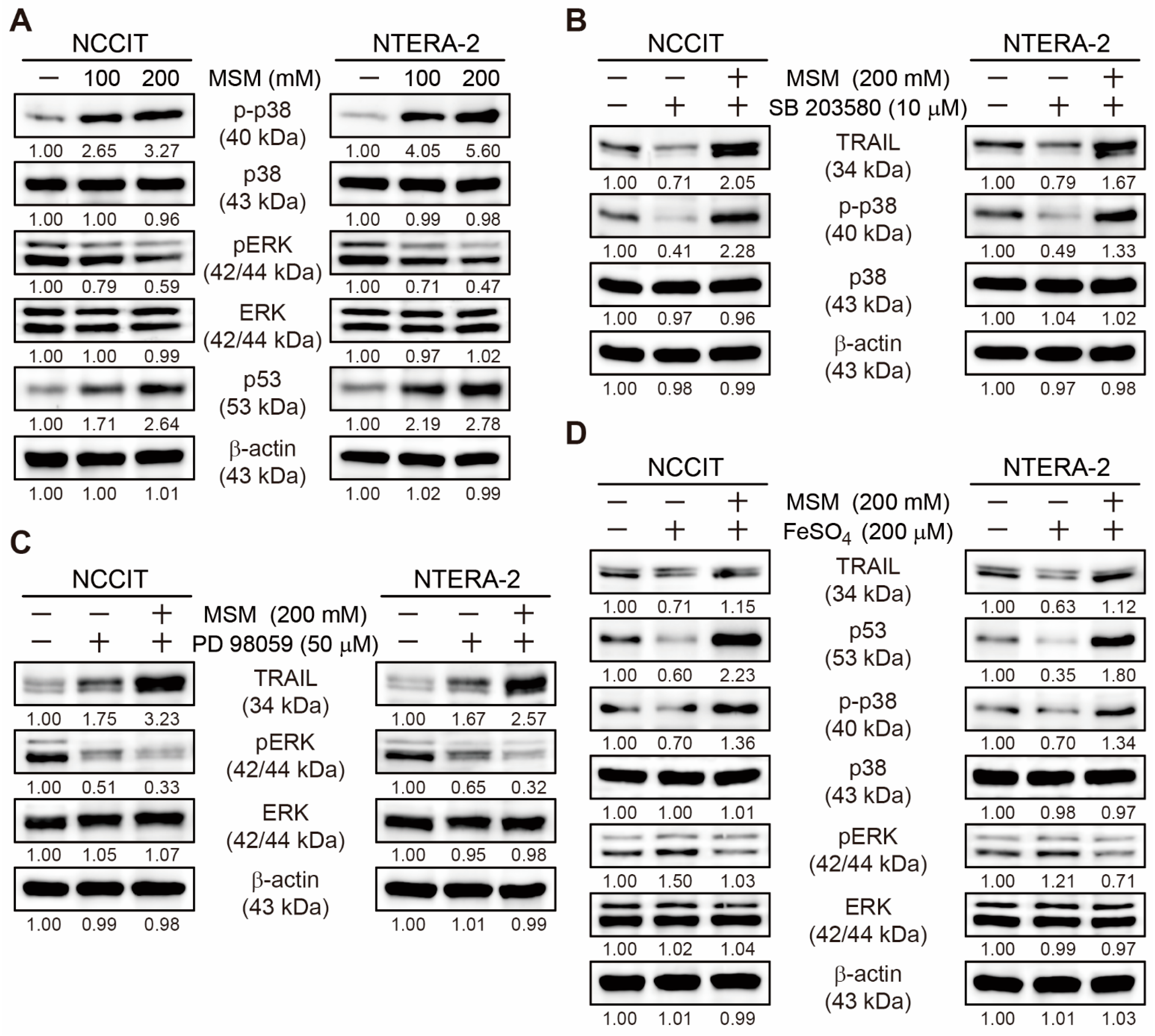 Cells 10 02847 g005 550