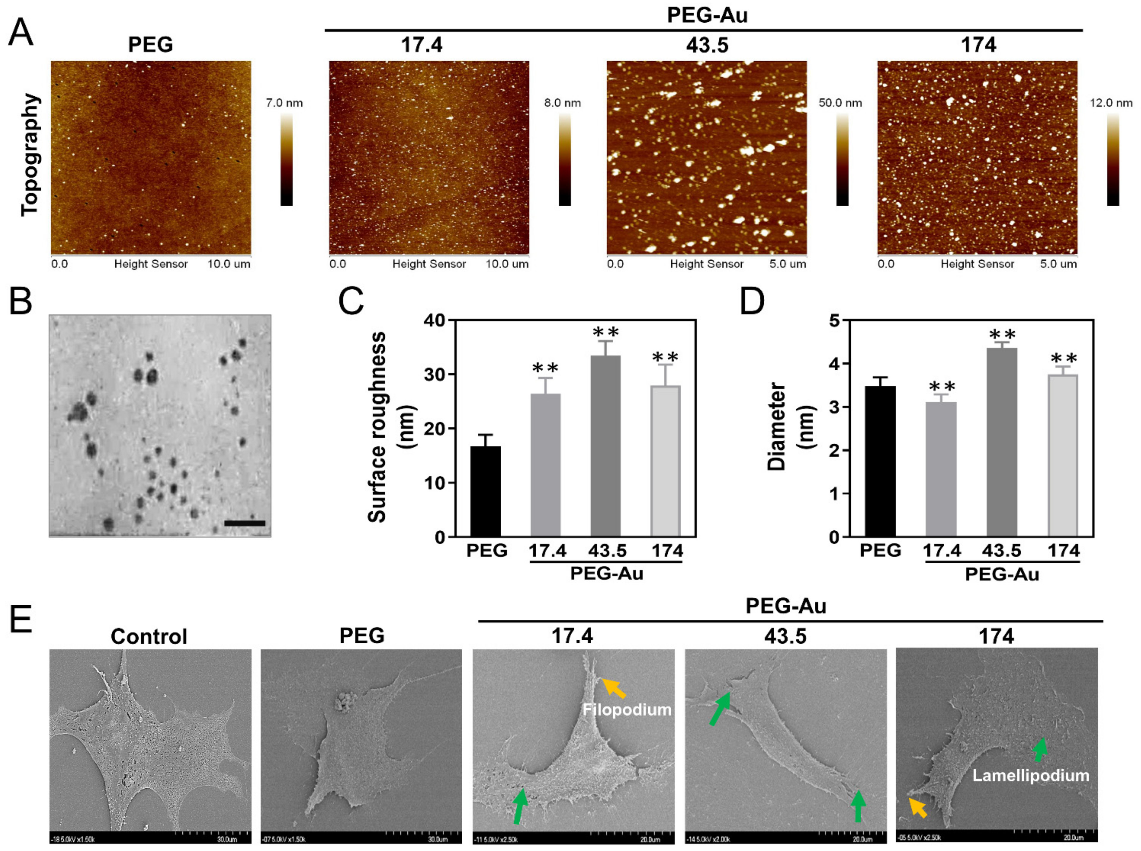 Cells 10 02854 g002 Cells 10 02854 g002