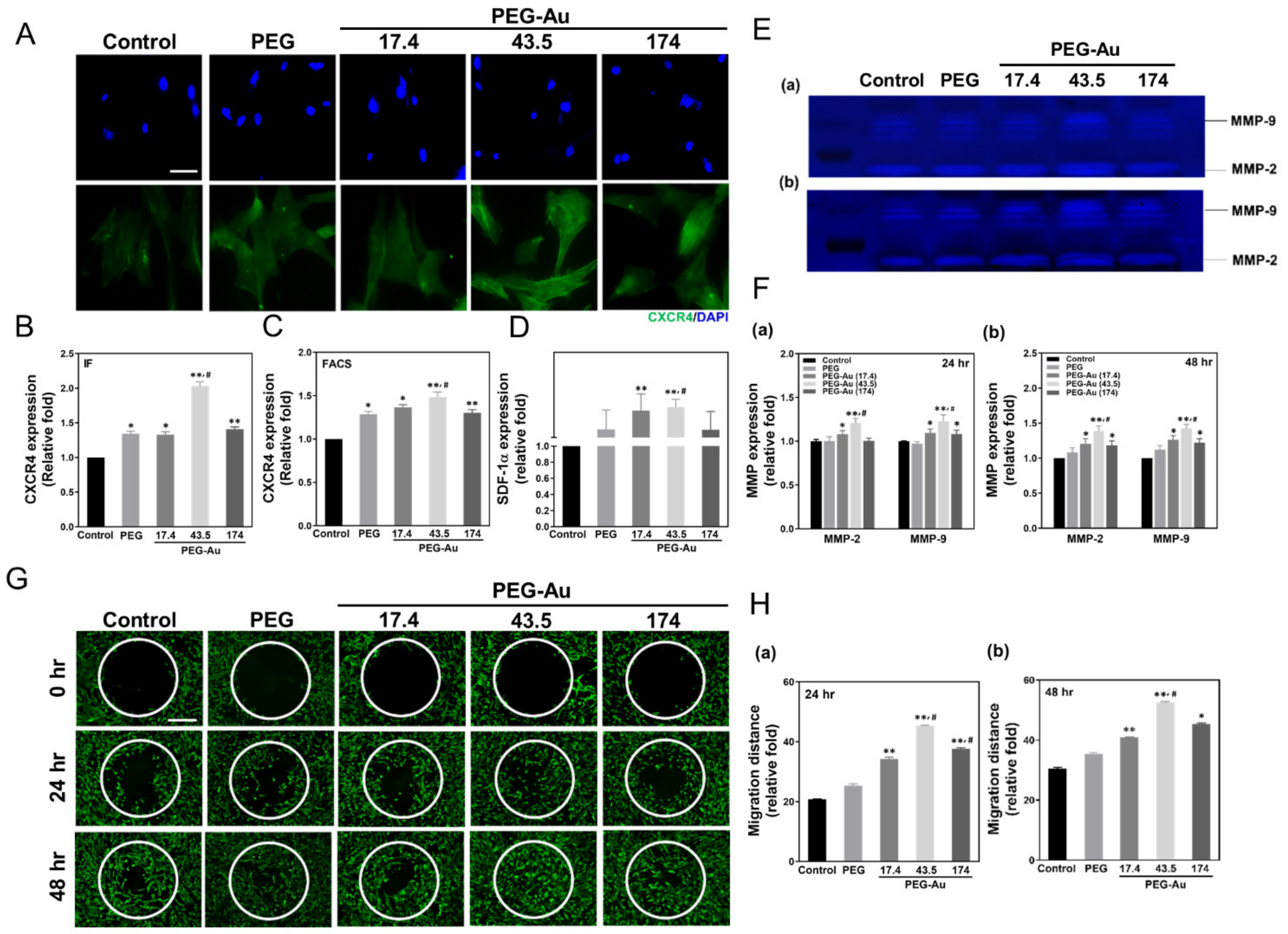 Cells 10 02854 g004 Cells 10 02854 g004