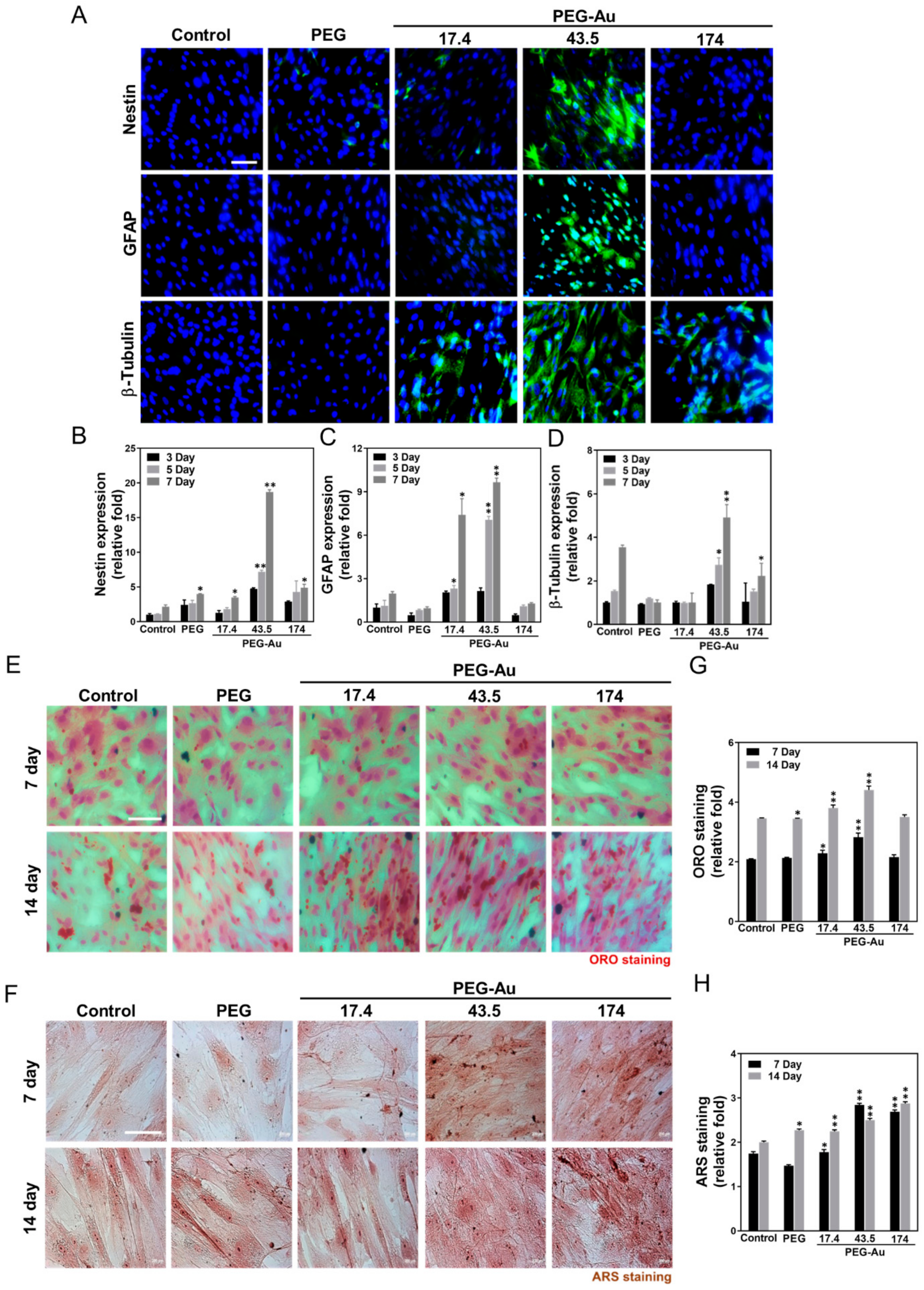 Cells 10 02854 g006 Cells 10 02854 g006