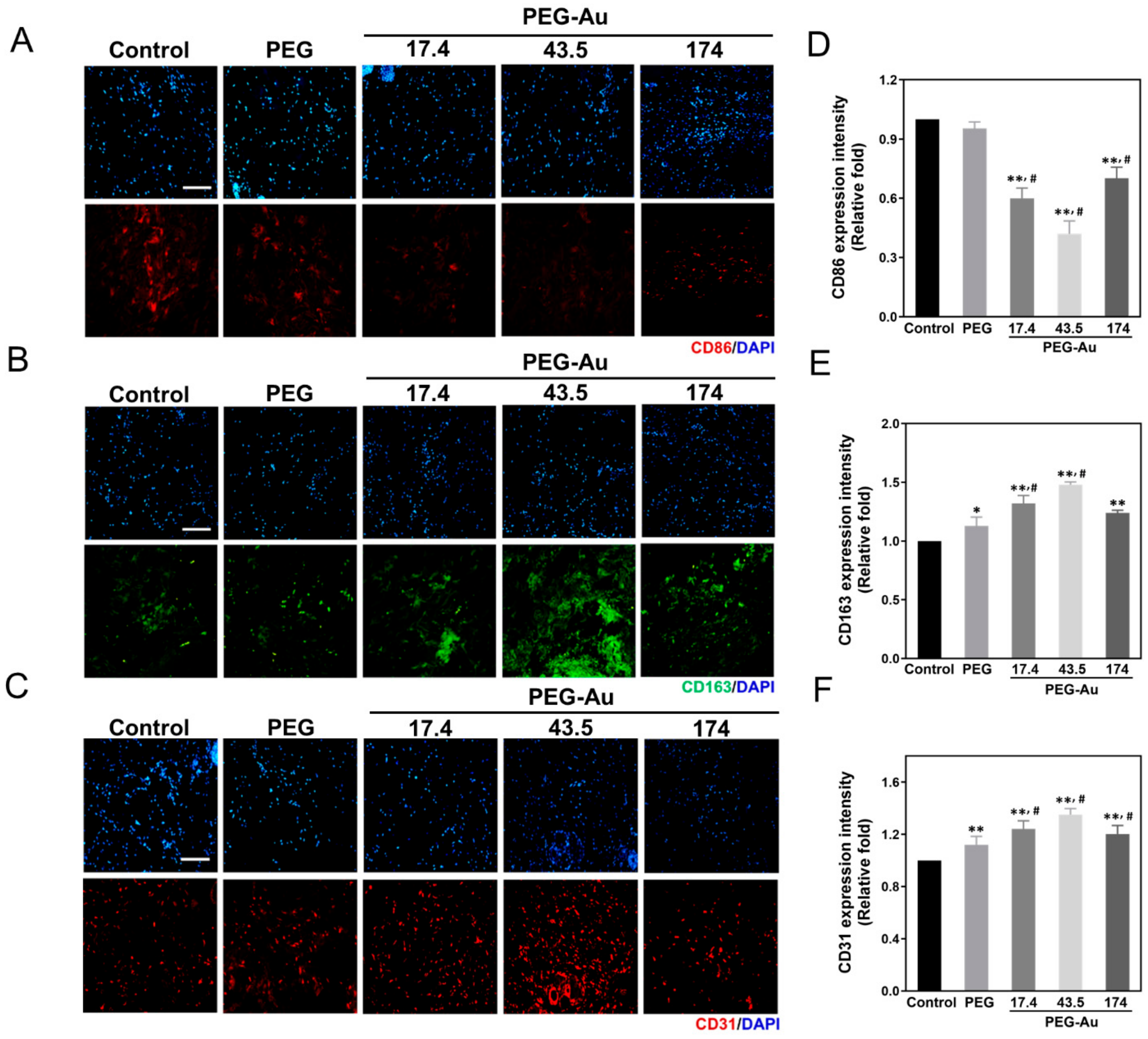 Cells 10 02854 g008 Cells 10 02854 g008