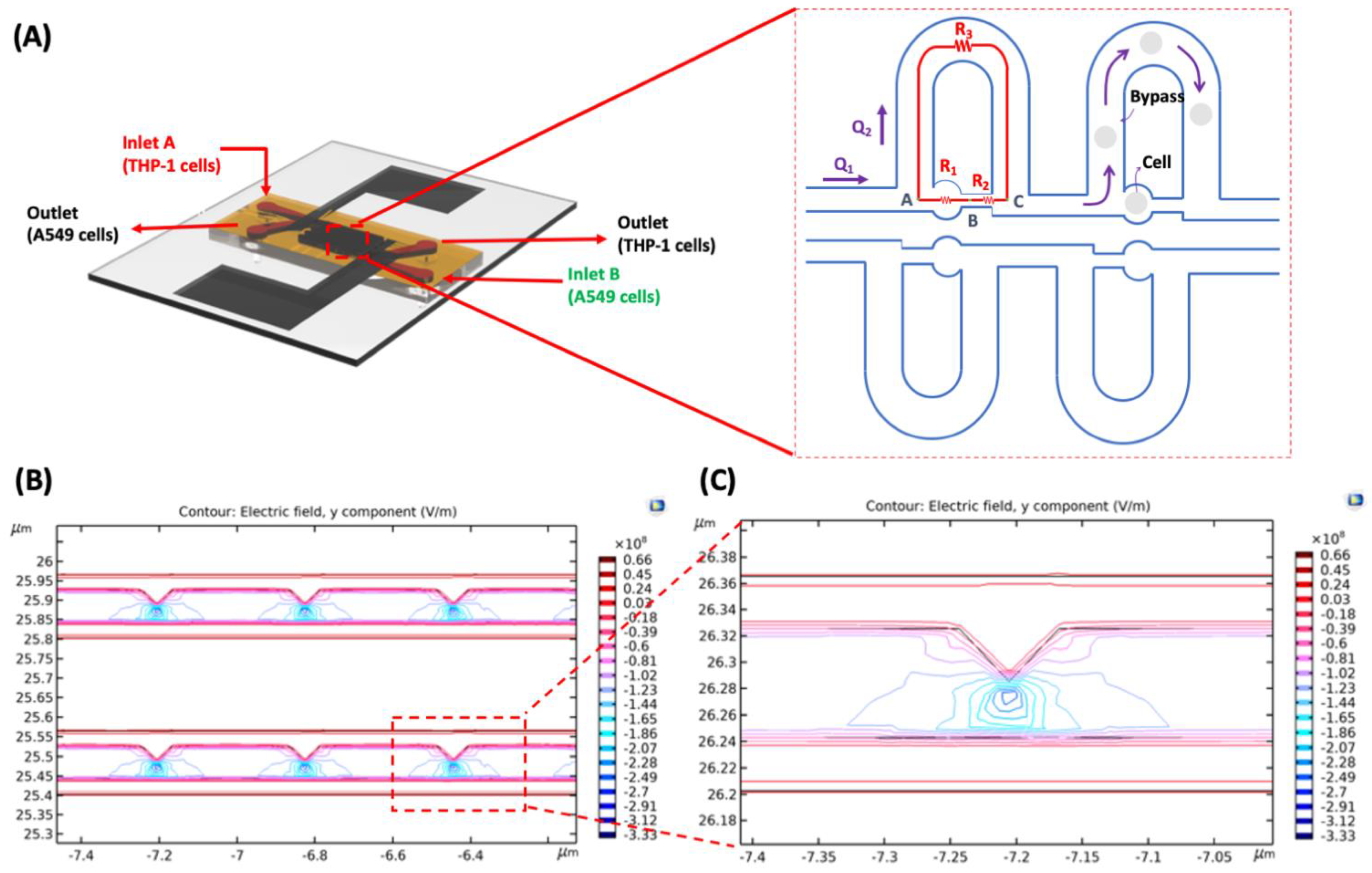 Cells 10 02855 g002 550