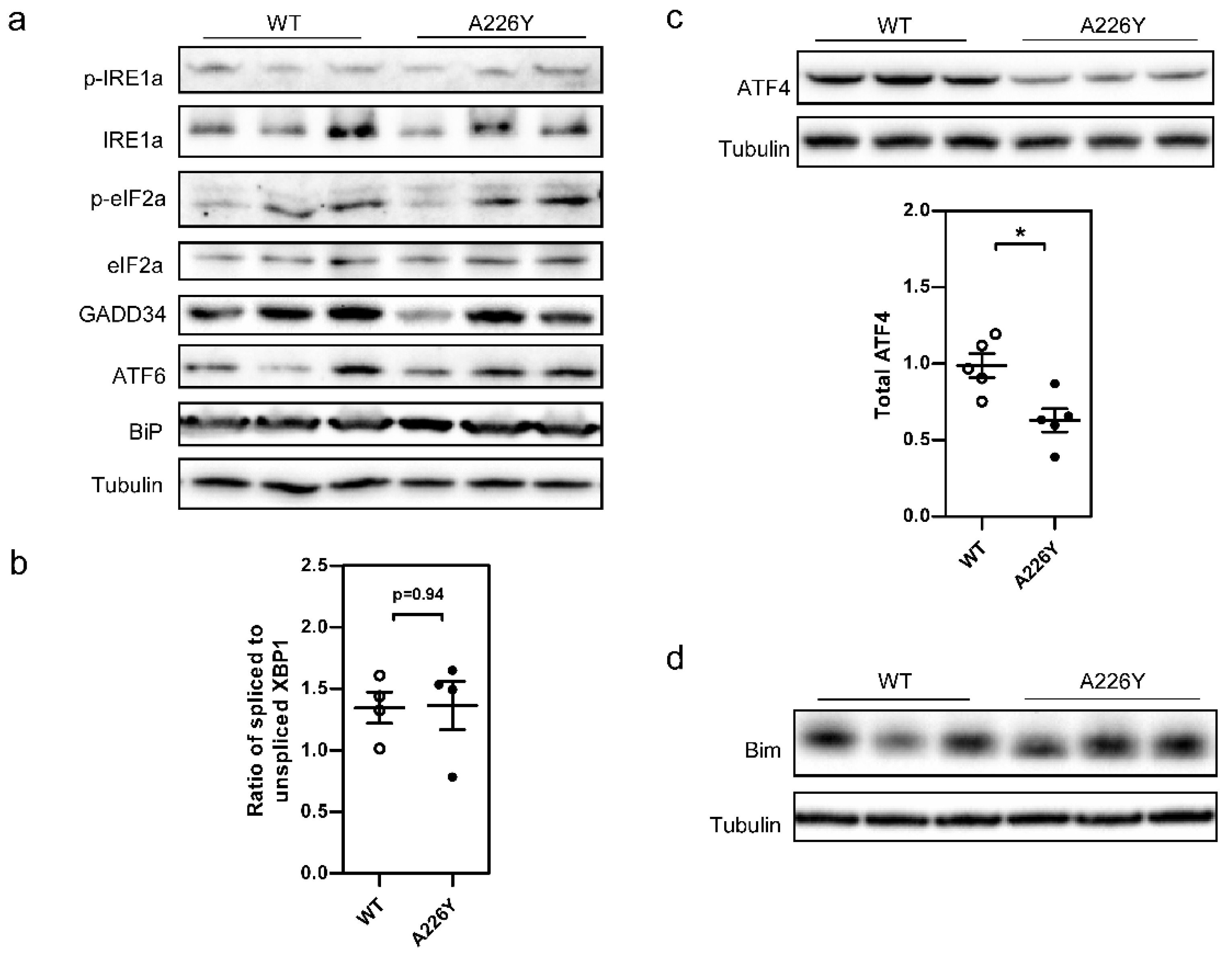 Cells 10 02856 g001 550