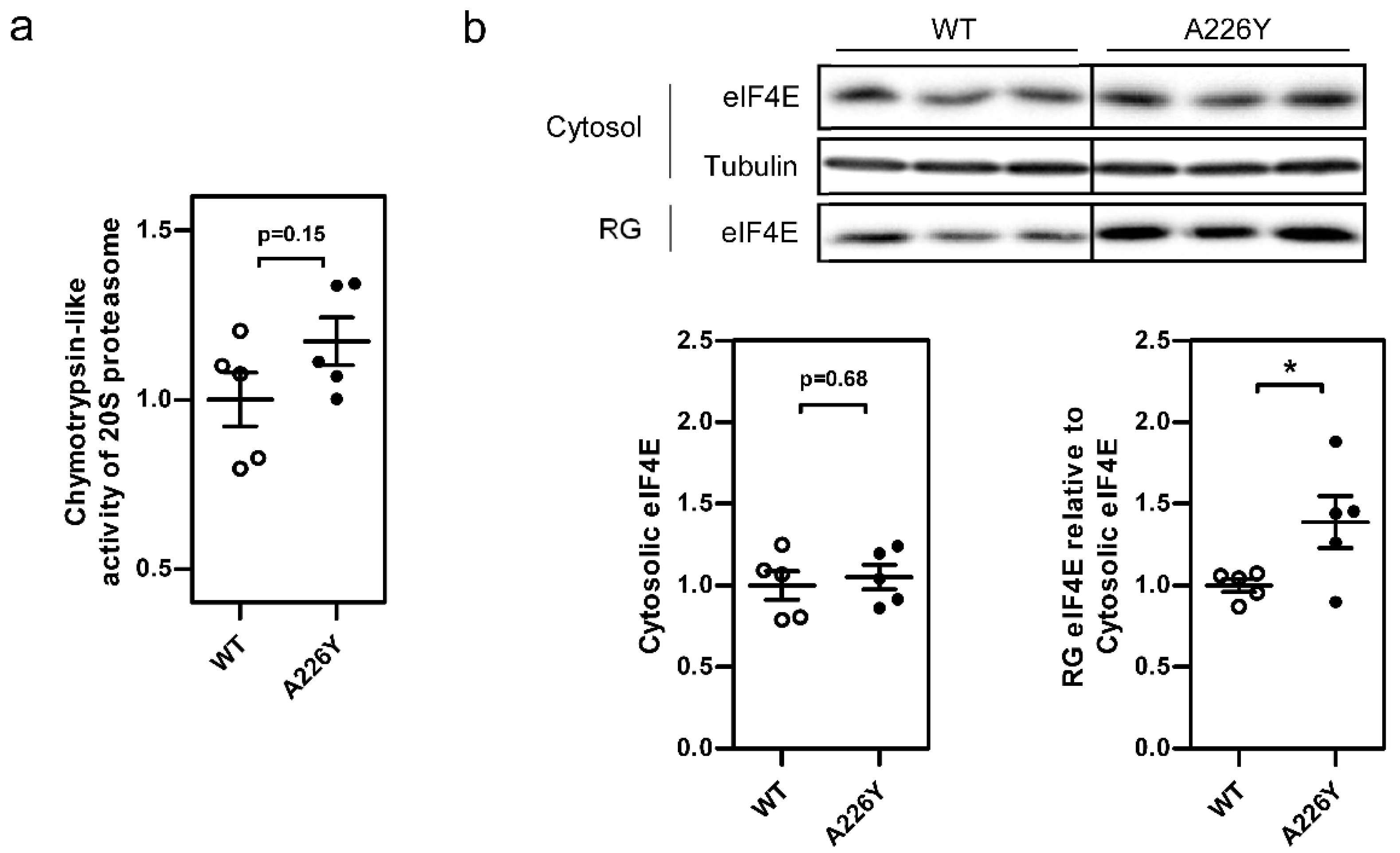 Cells 10 02856 g002 550