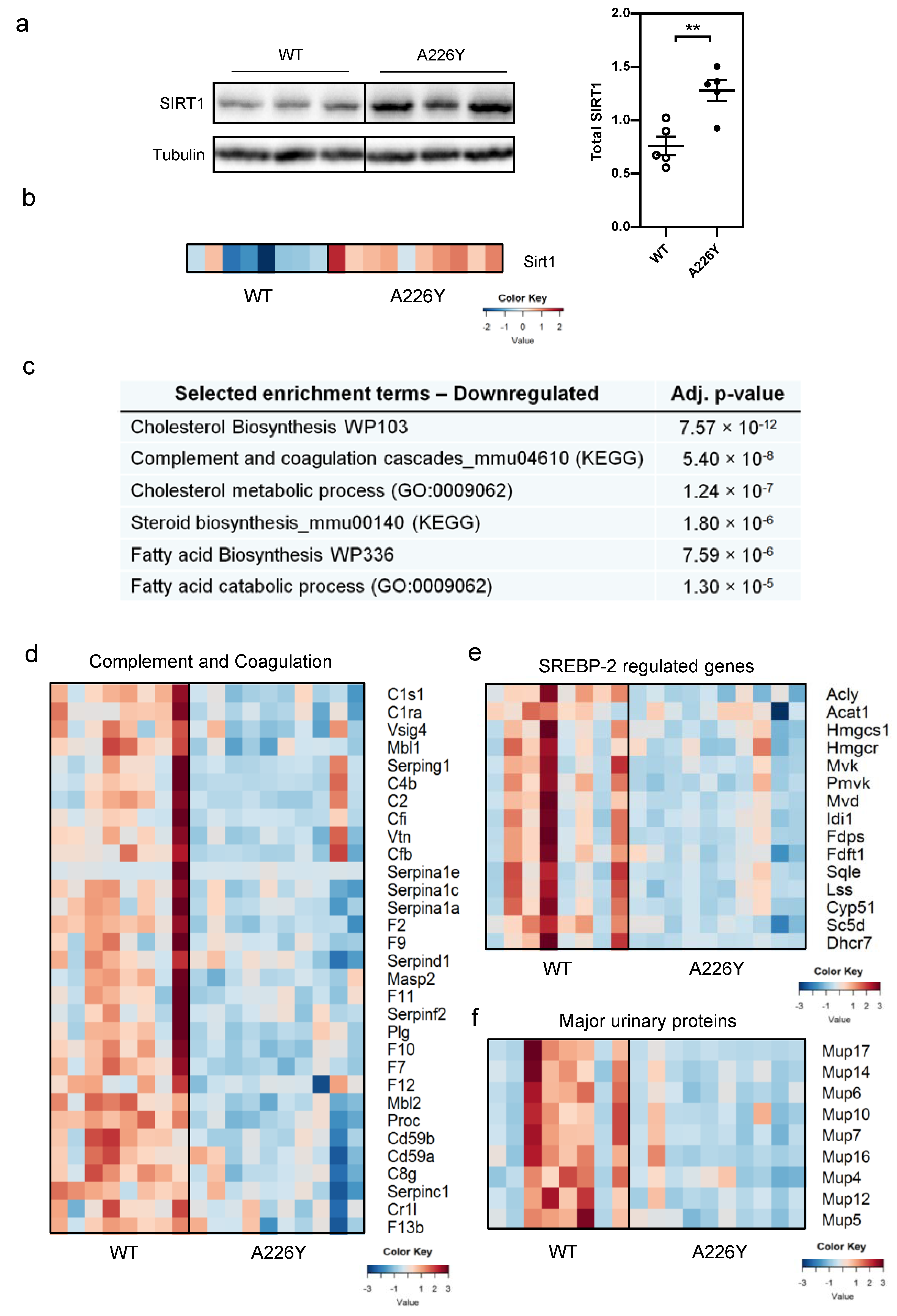 Cells 10 02856 g003 550