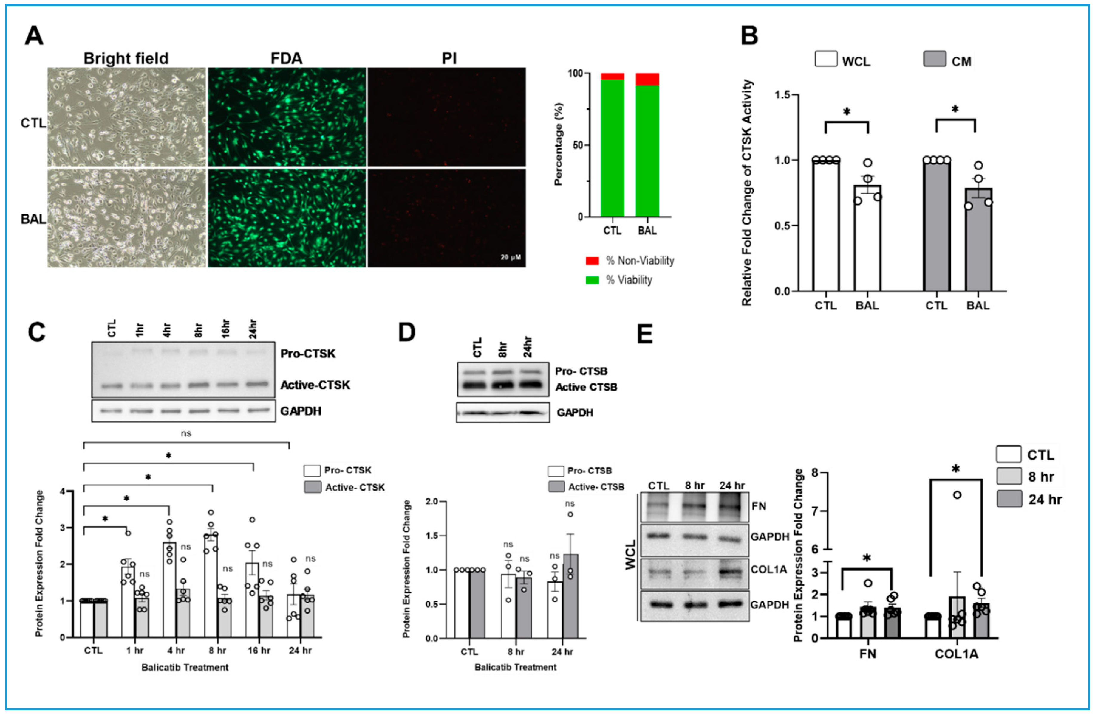 Cells 10 02864 g002 Cells 10 02864 g002