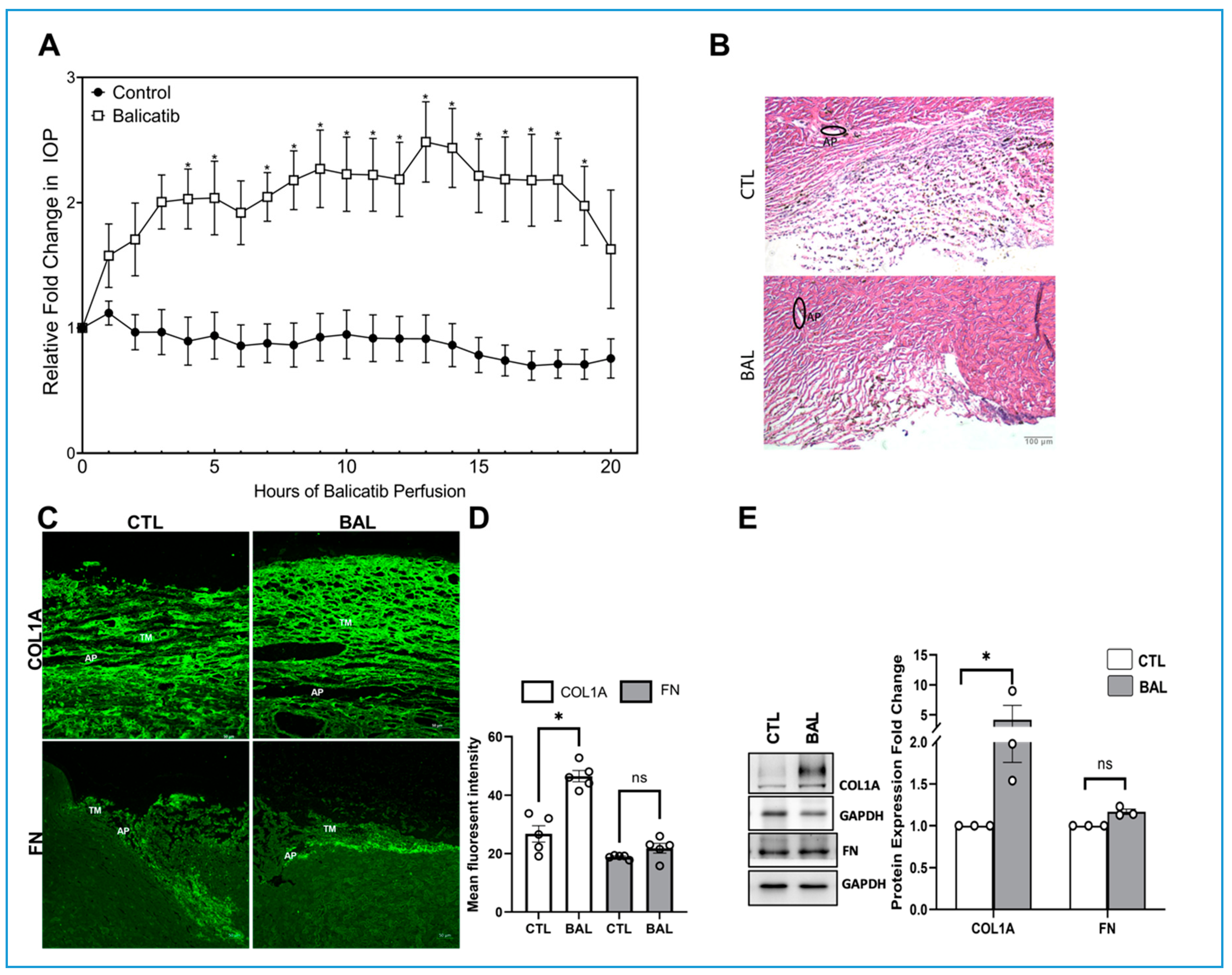 Cells 10 02864 g003 Cells 10 02864 g003
