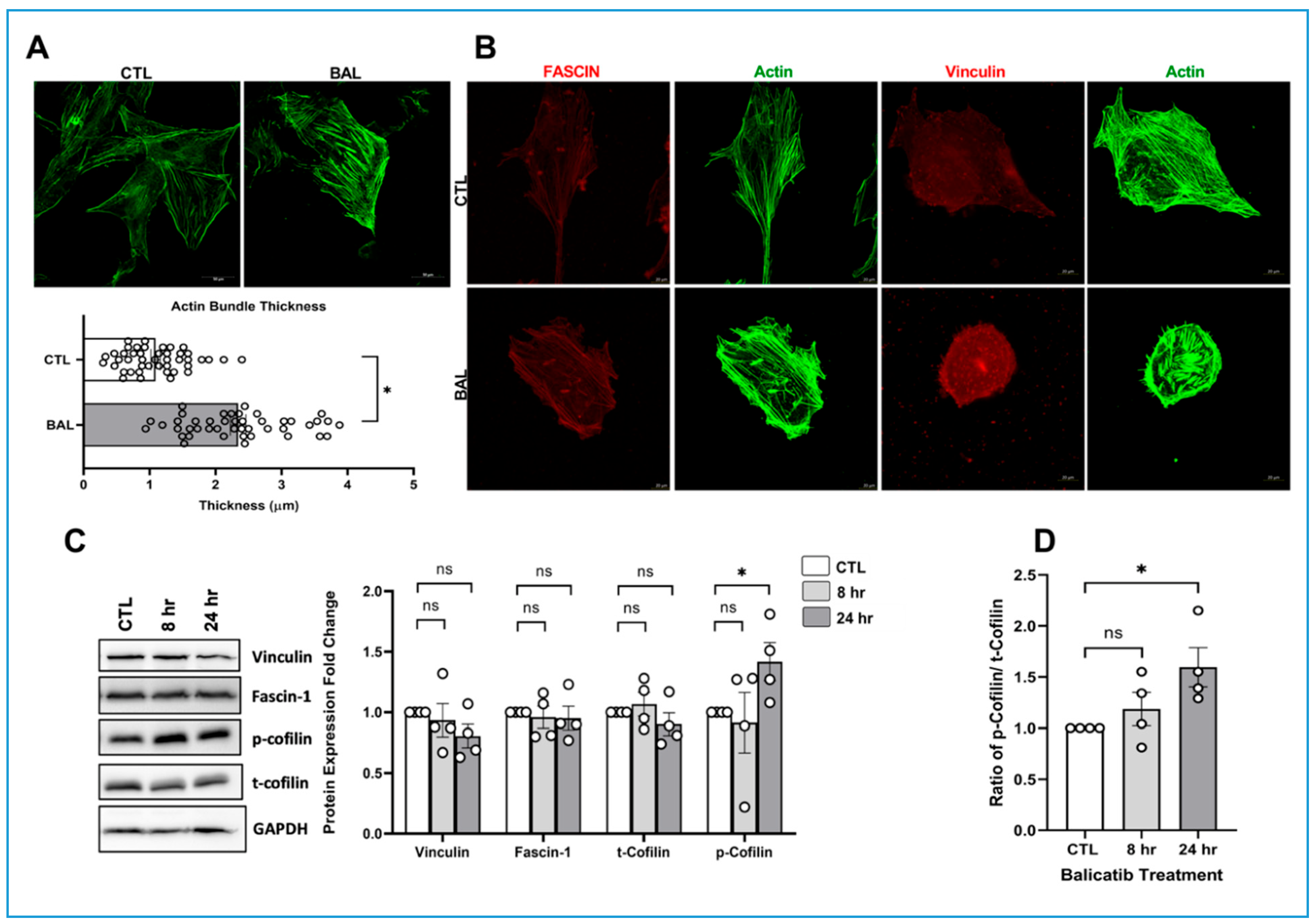 Cells 10 02864 g004 Cells 10 02864 g004