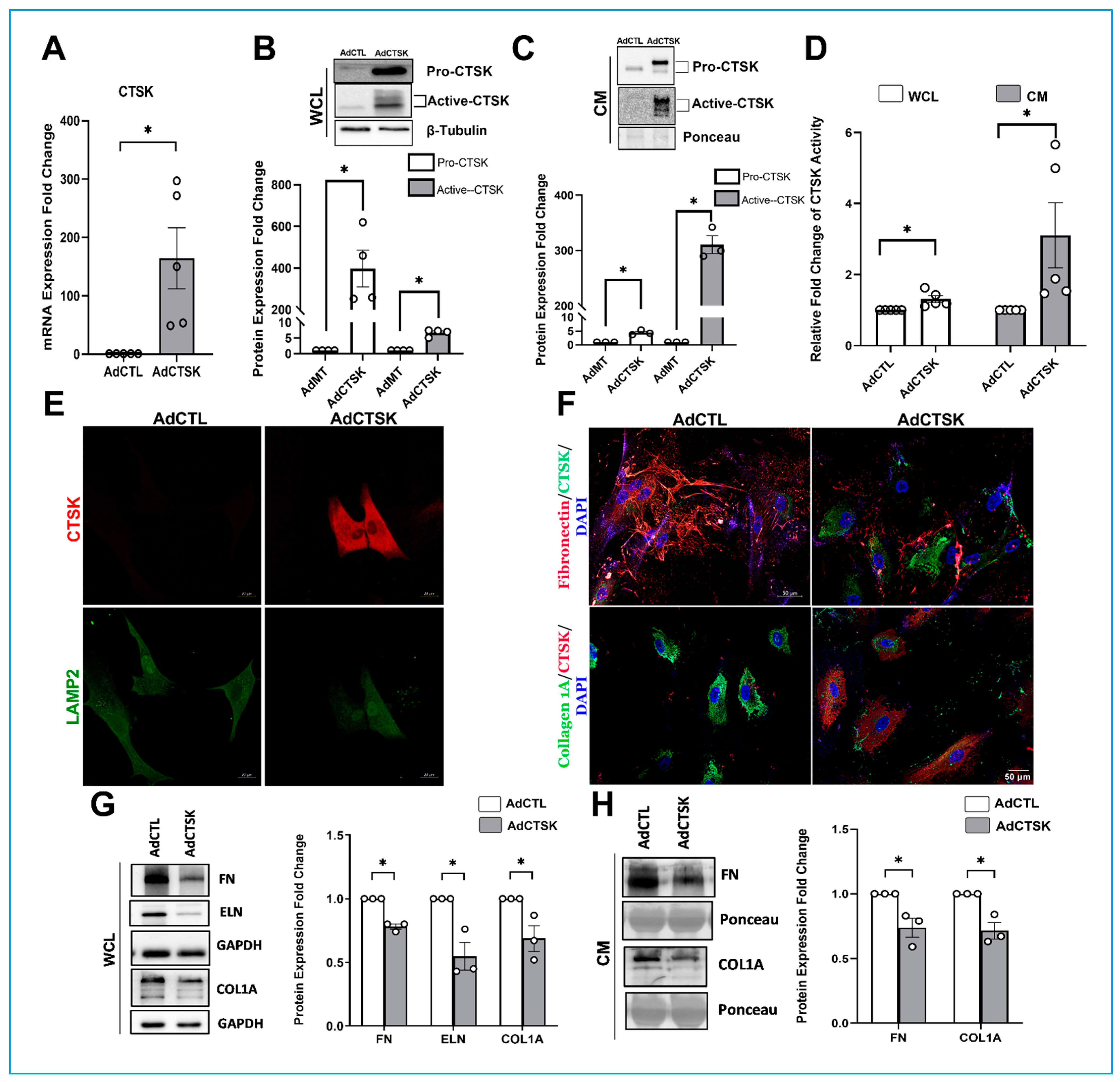 Cells 10 02864 g005 Cells 10 02864 g005